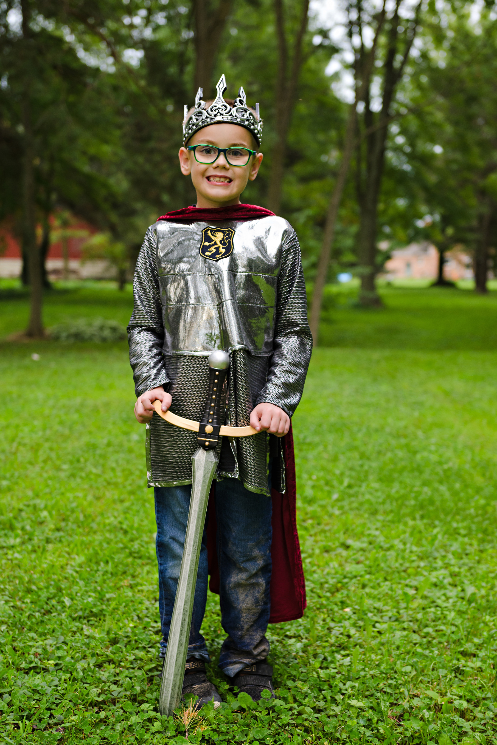 Epées de chevalier, assortiment (x2)