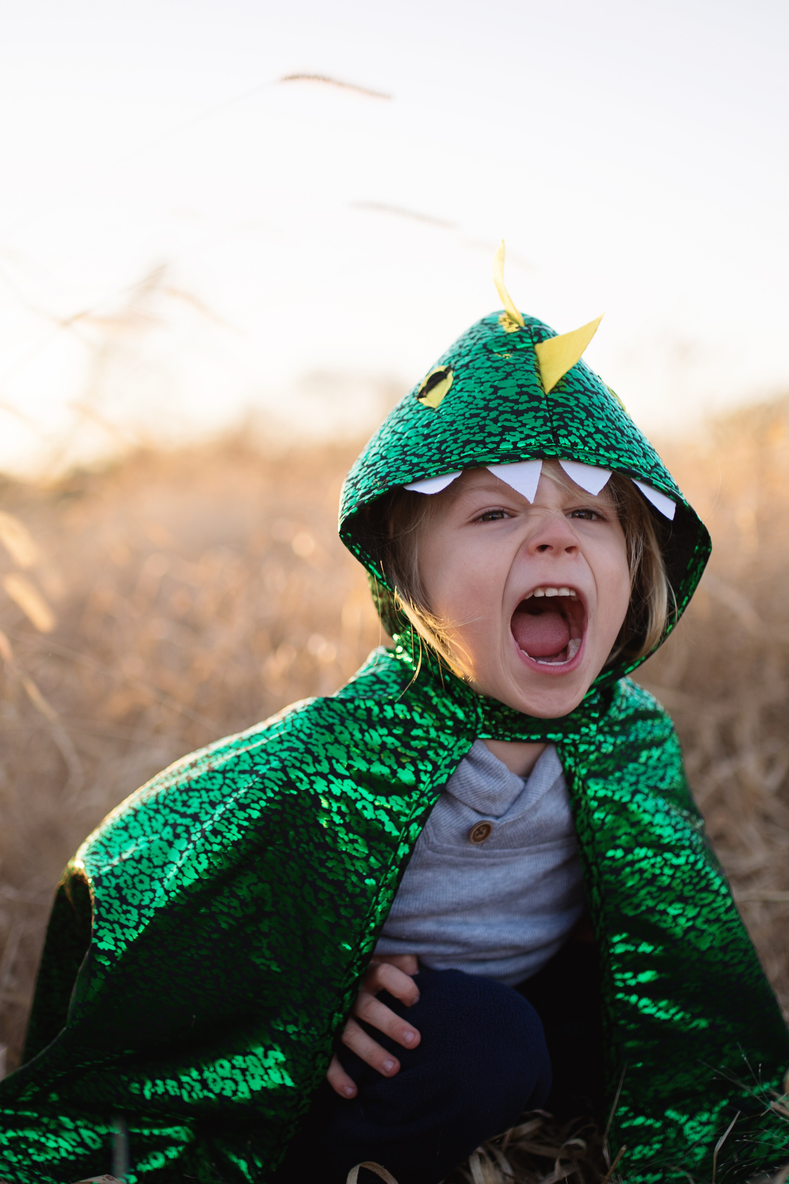 Toddler Dragon Cape