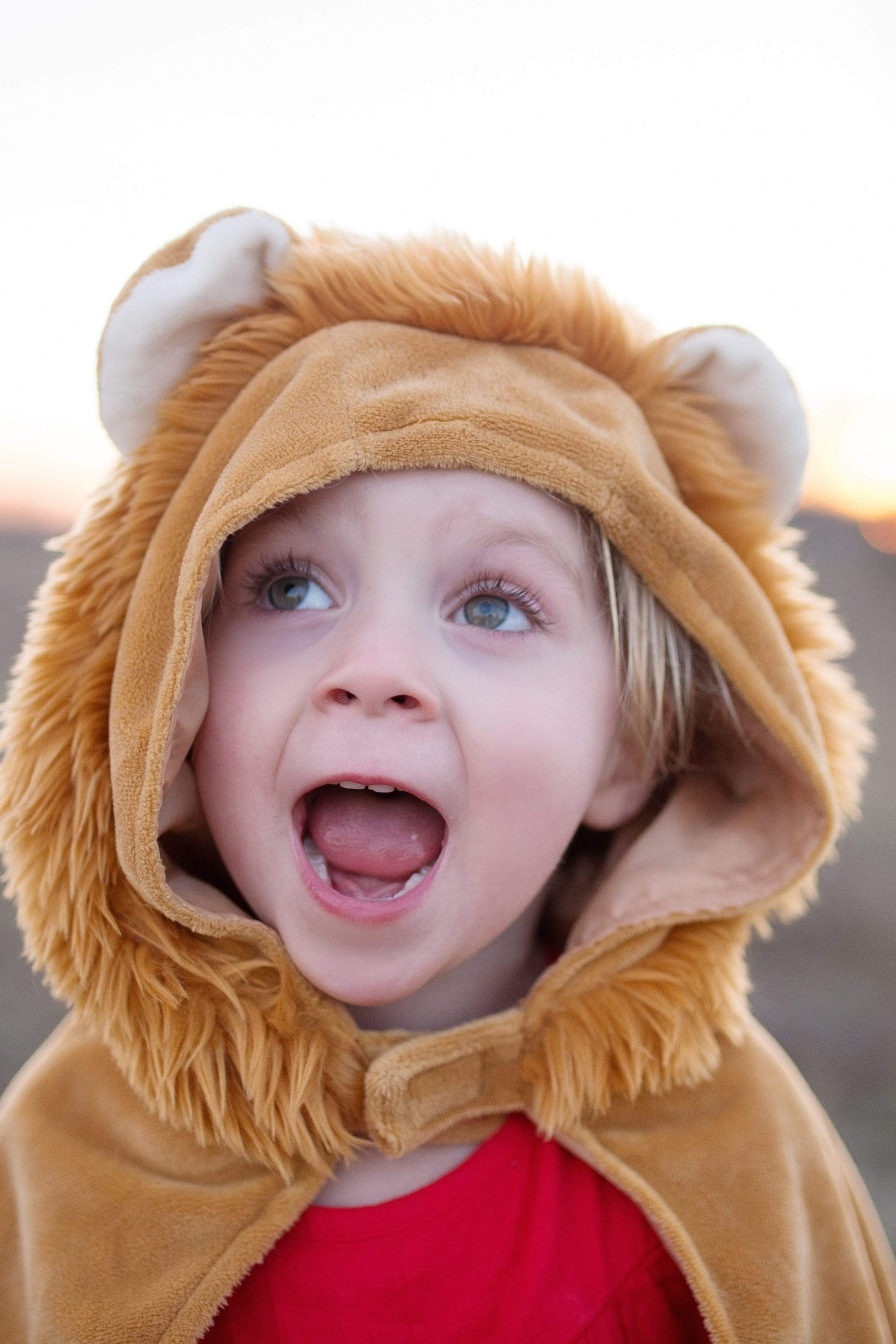 Toddler Lion Cape