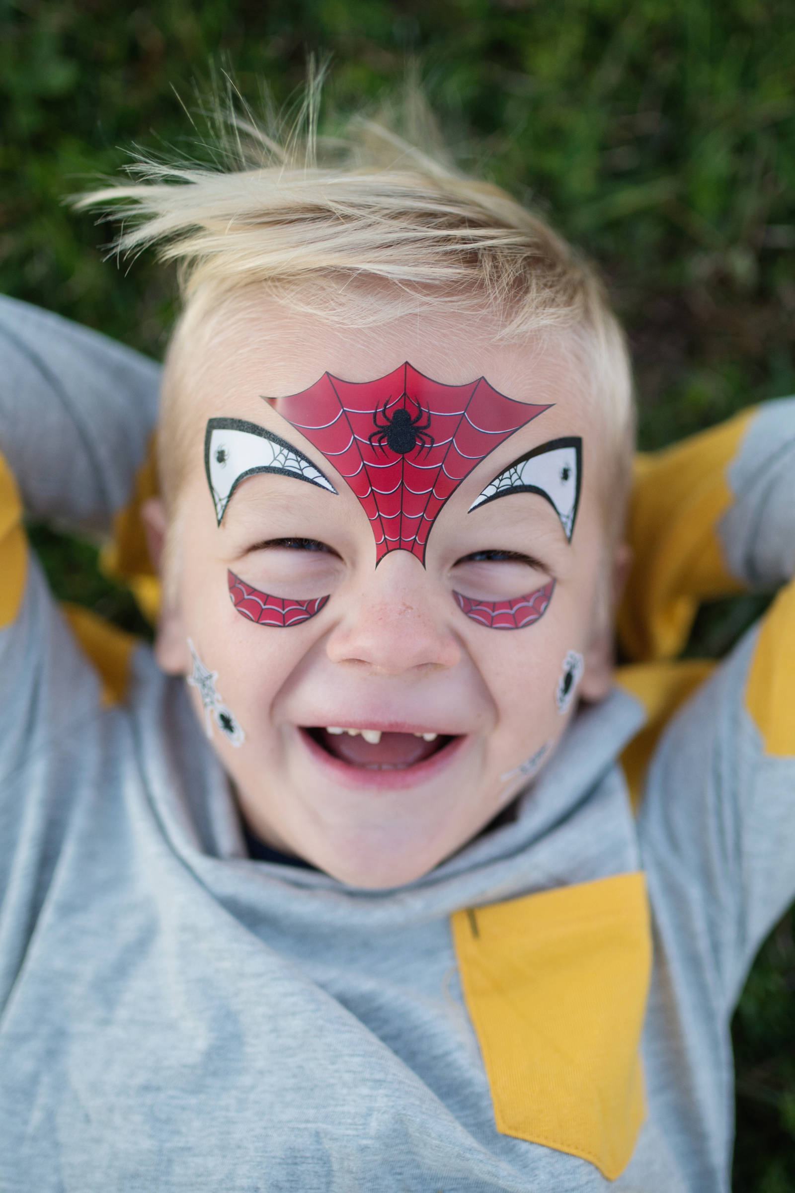 Spider Face Stickers