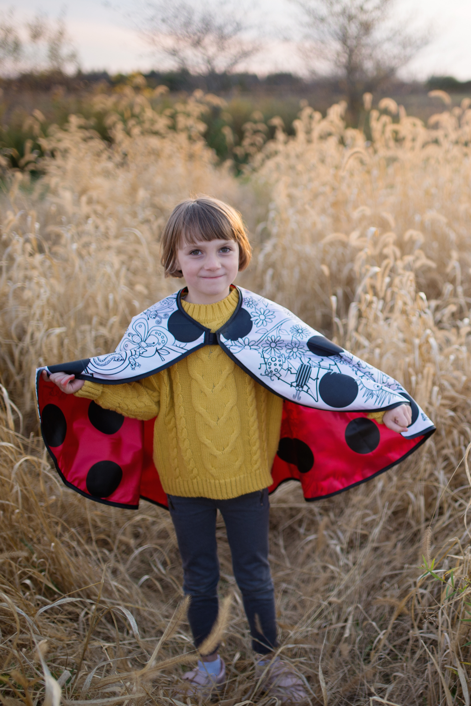 Colour-A-Ladybug Cape