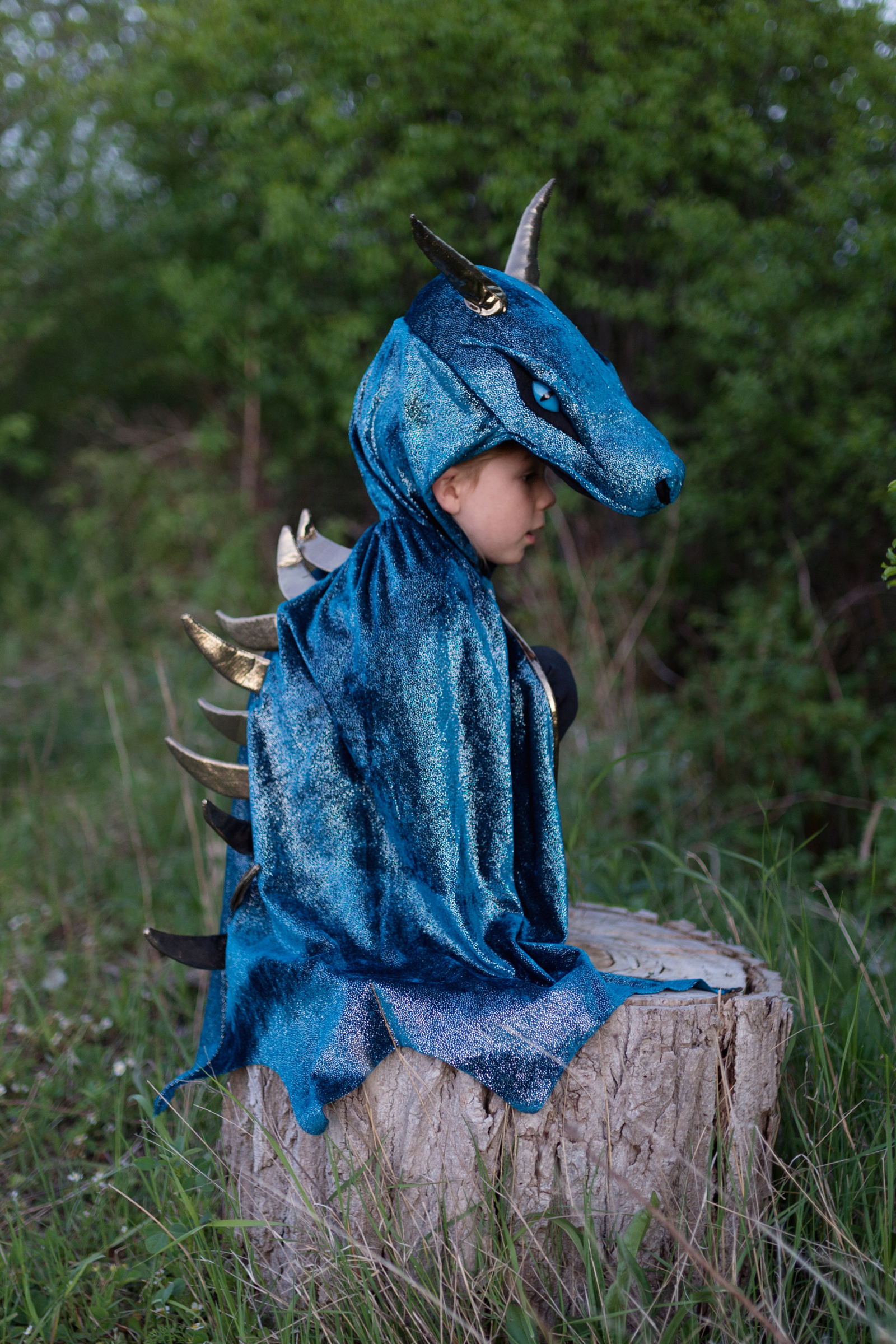 Starry Night Dragon Cape