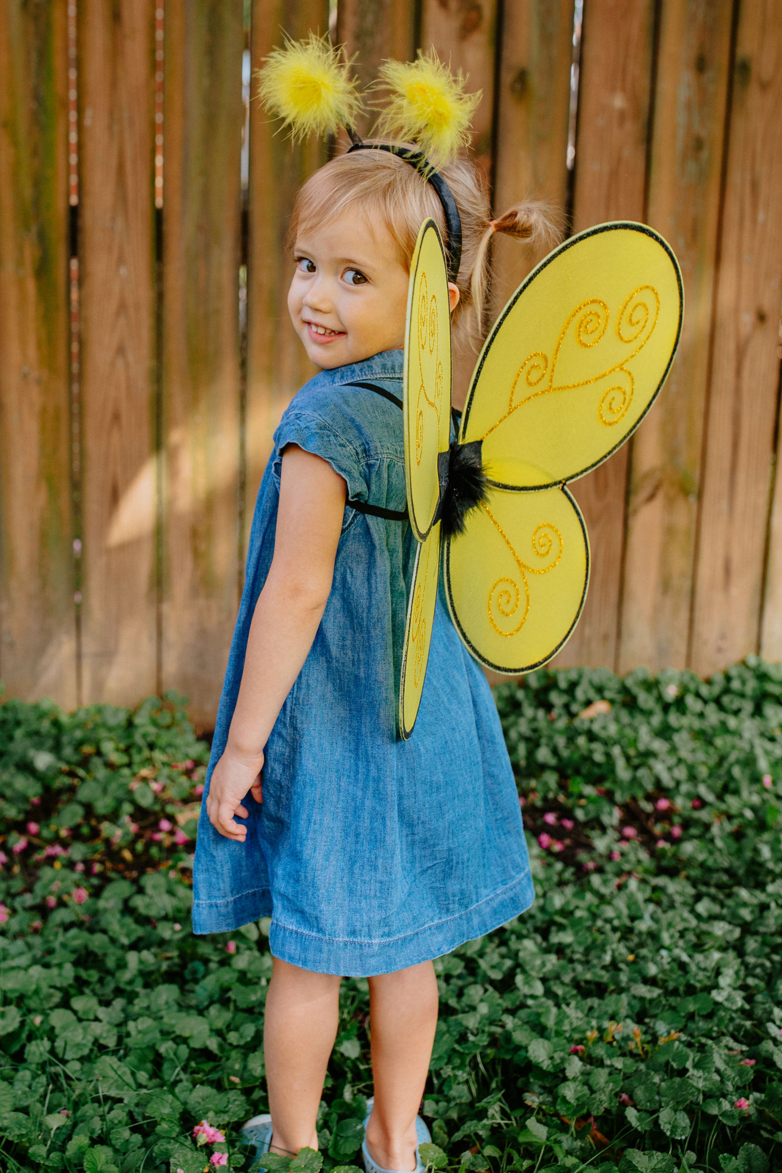 Bumble Bee Wings & Headband