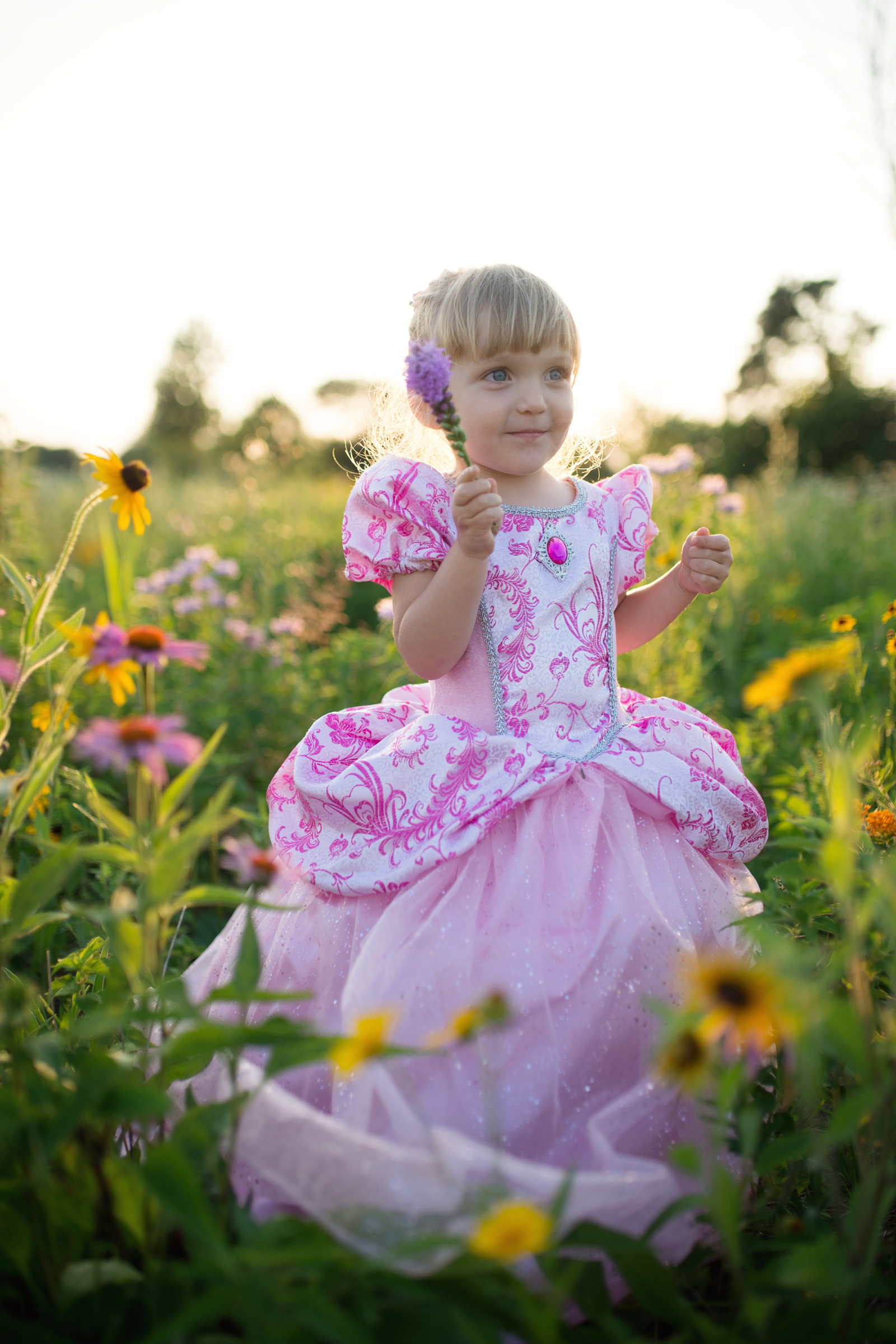 Royal Pretty Princess Dress