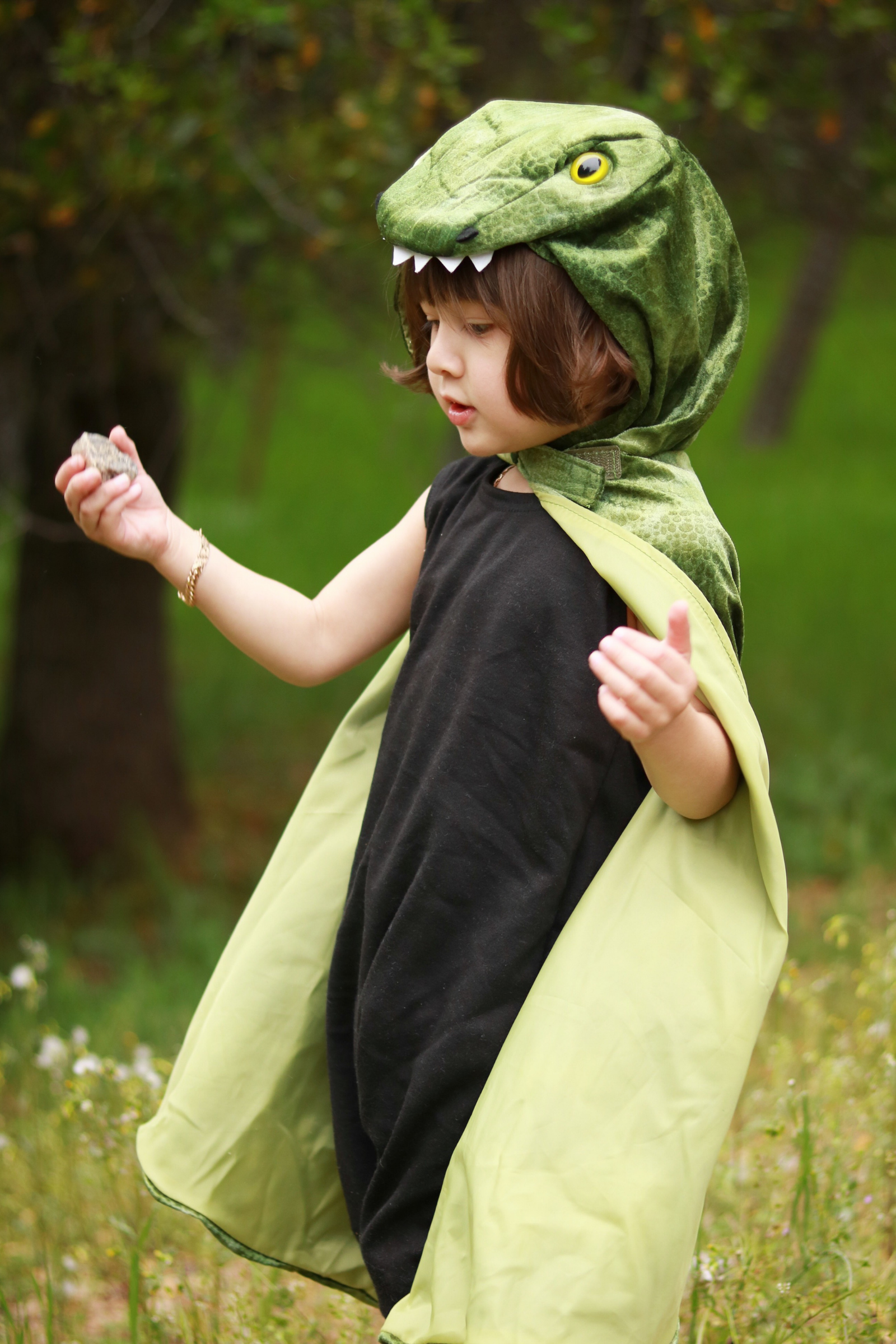 T-Rex Hooded Cape