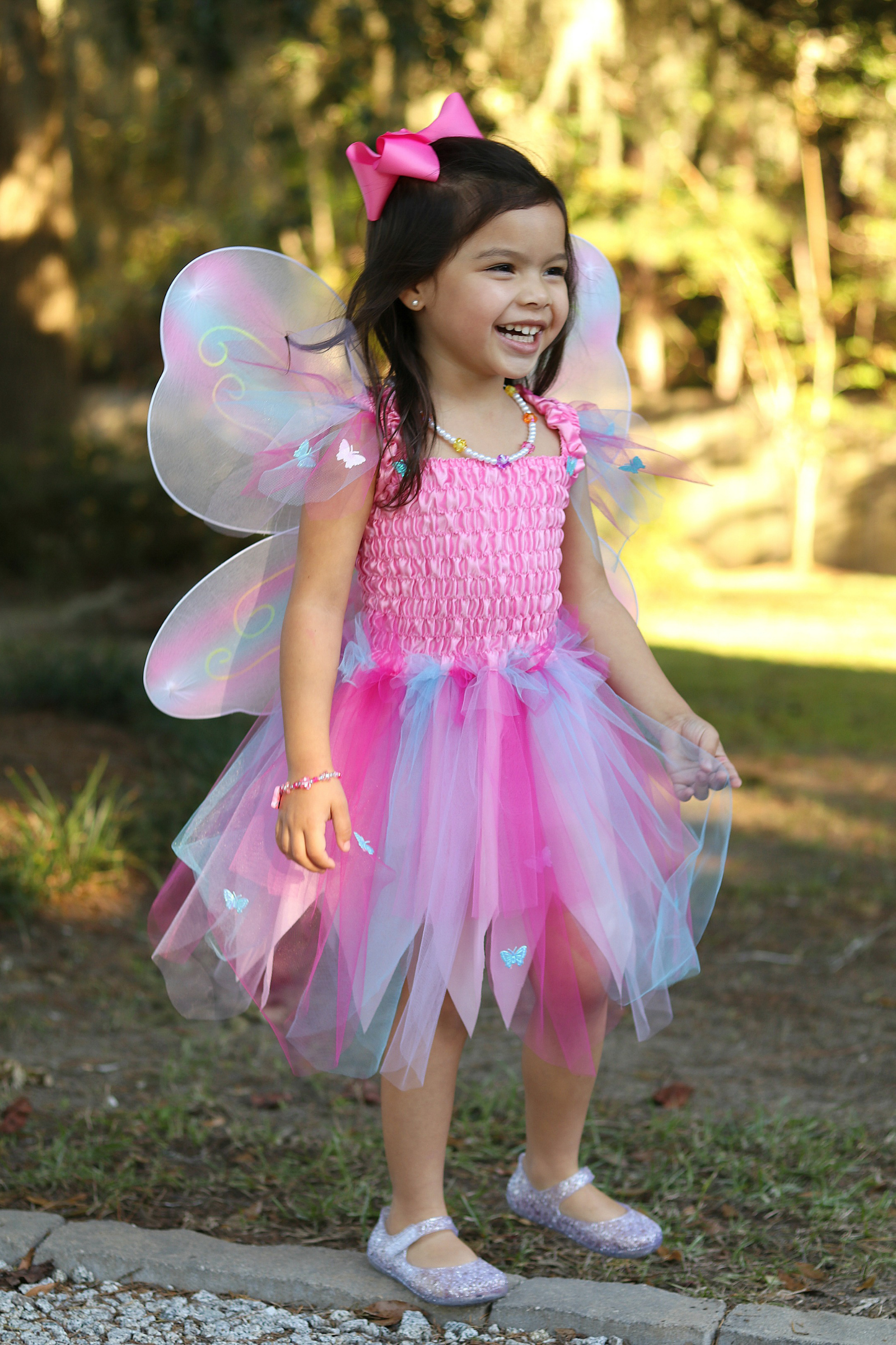 Butterfly Dress with Wings & Wand