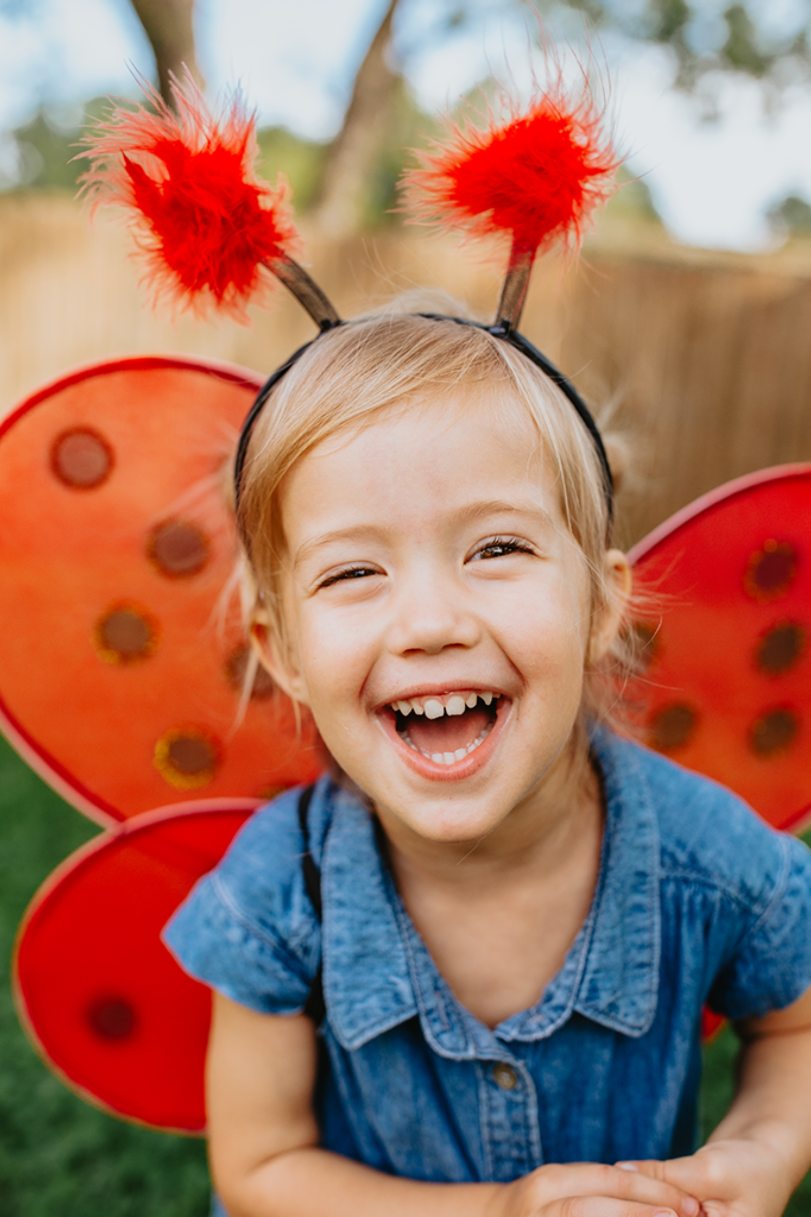 Lady Bug Wings & Headband