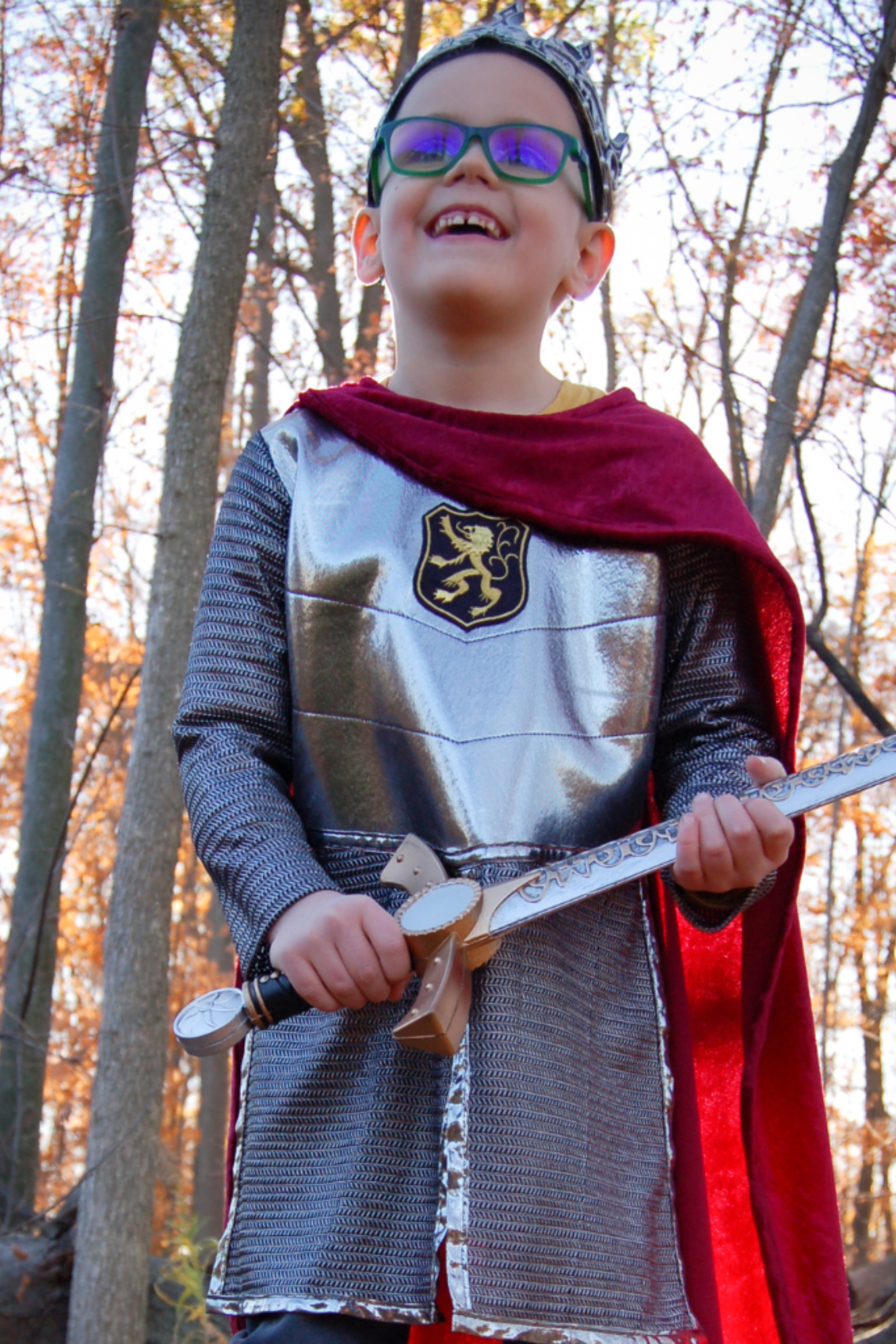 Silver Knight with Cape