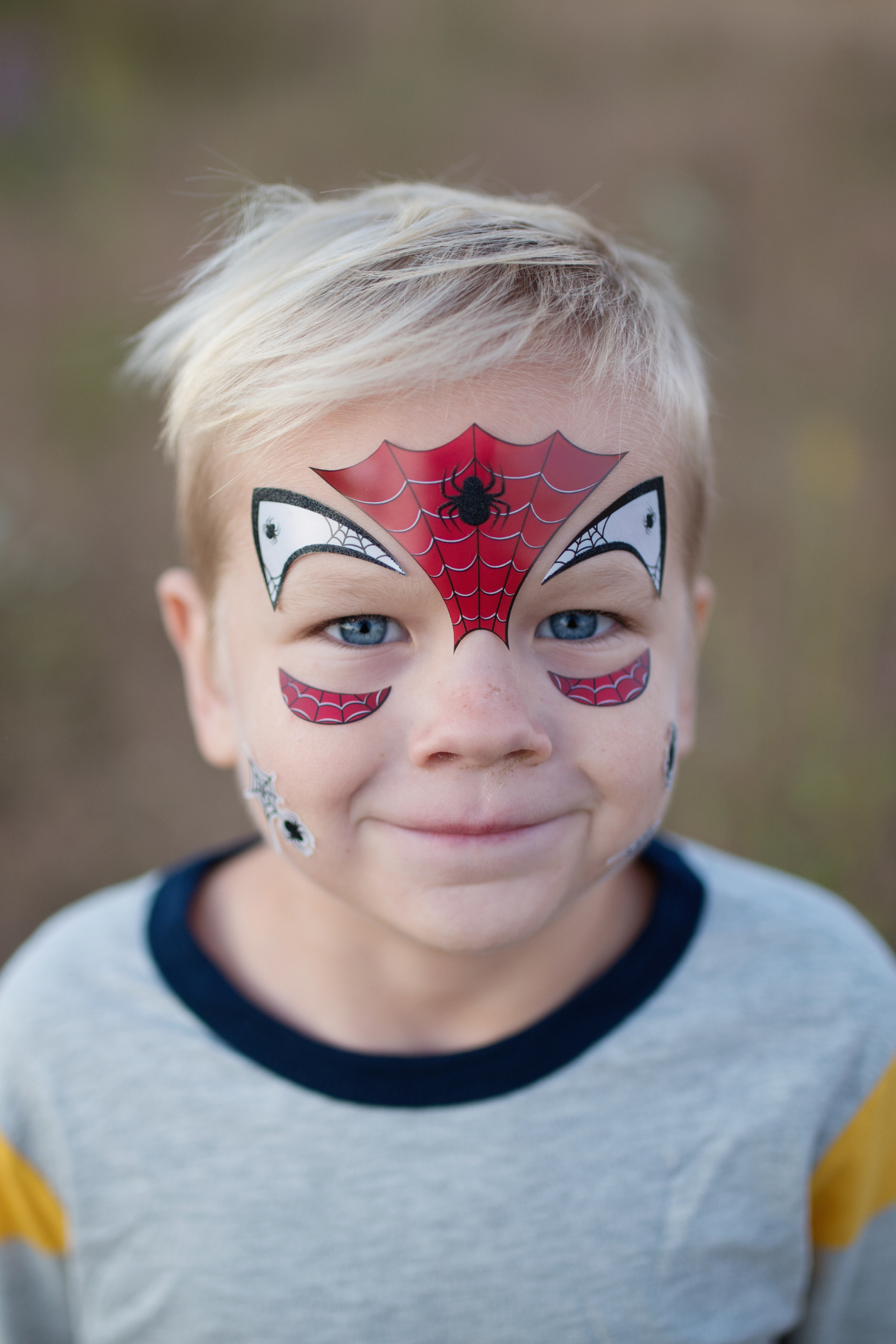 Spider Face Stickers