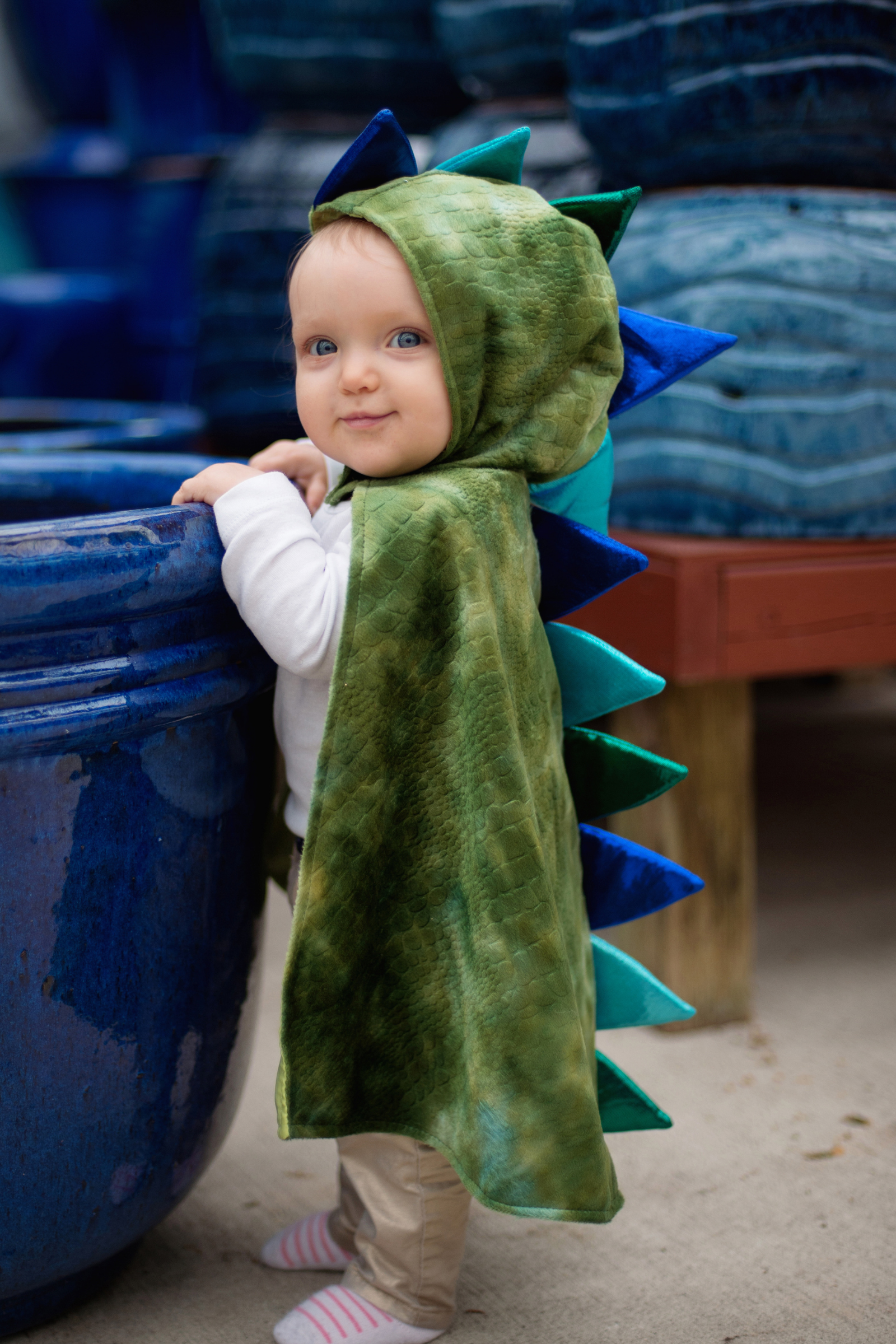 Baby Dragon Cape