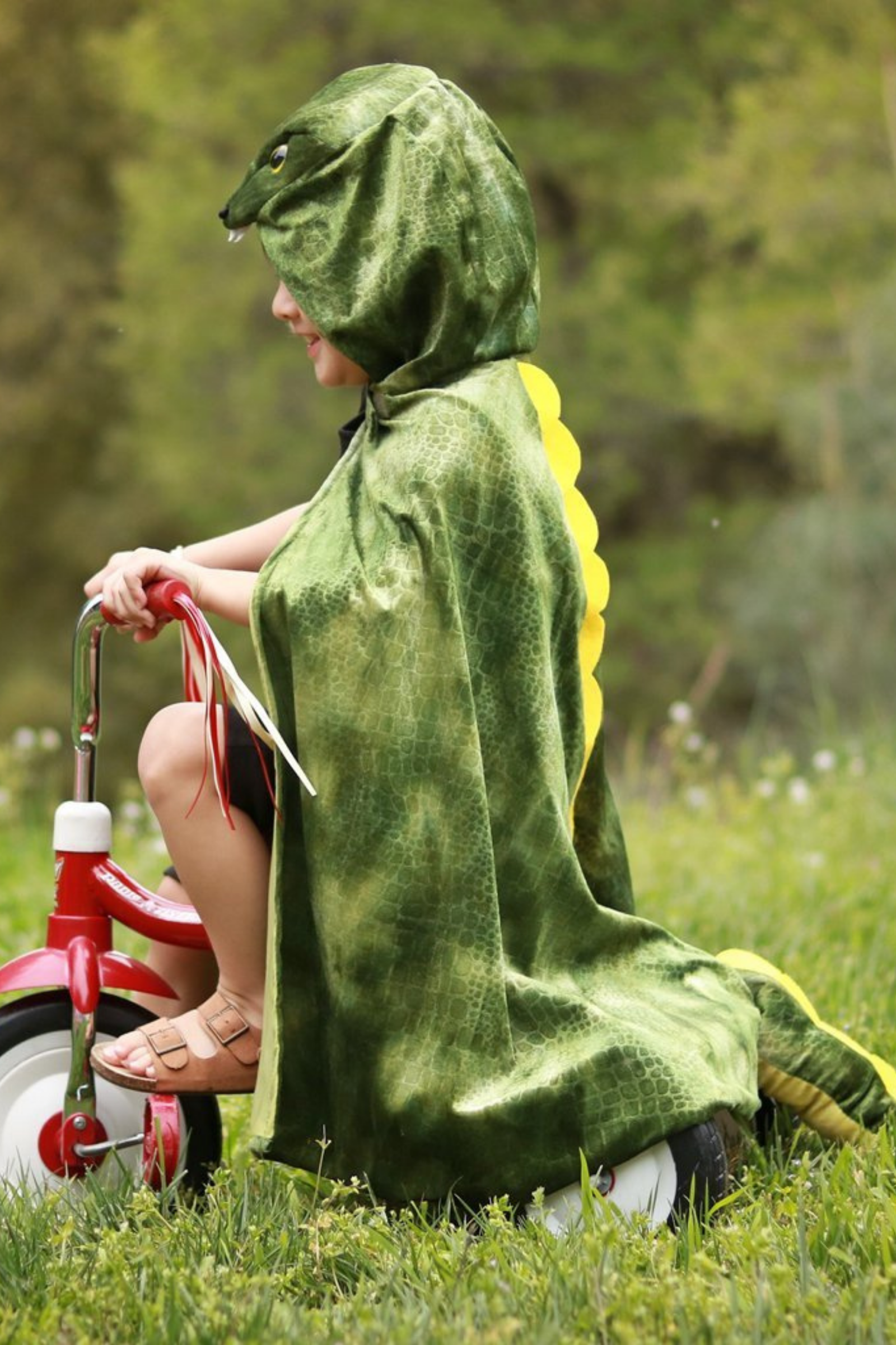 T-Rex Hooded Cape