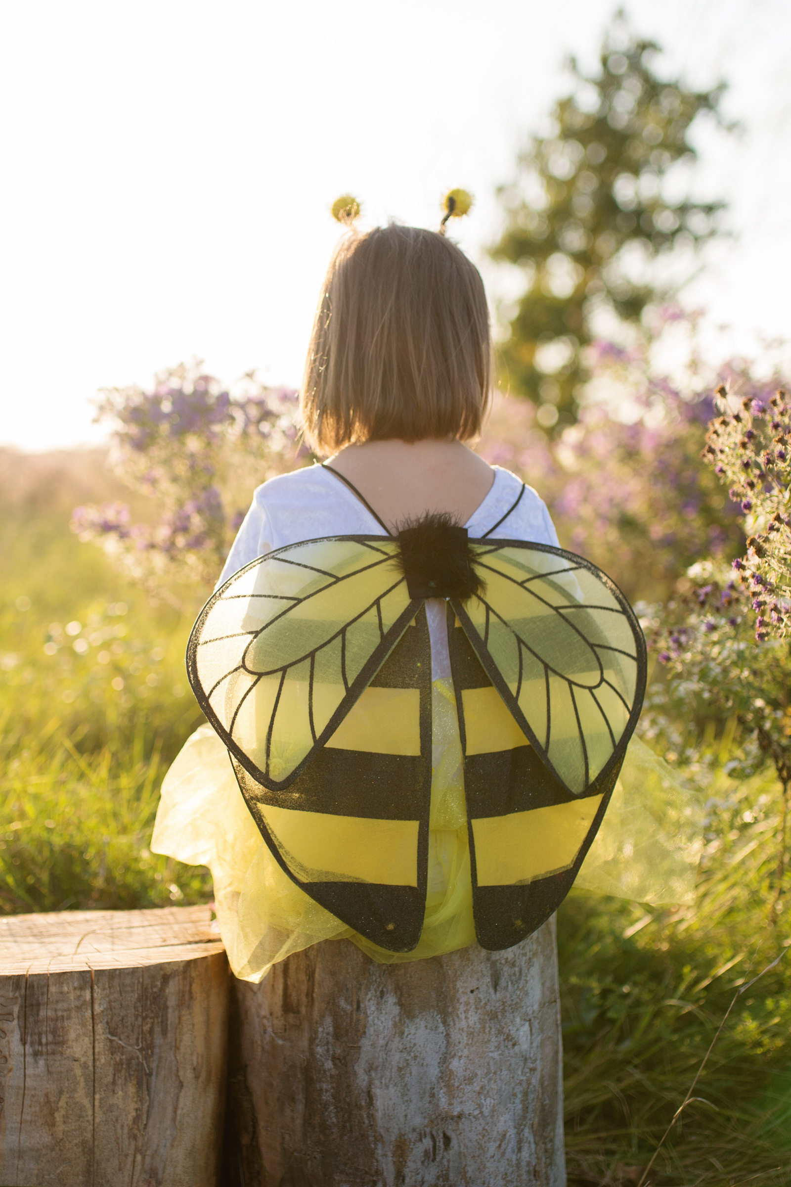 Glitter Bumble Bee Set