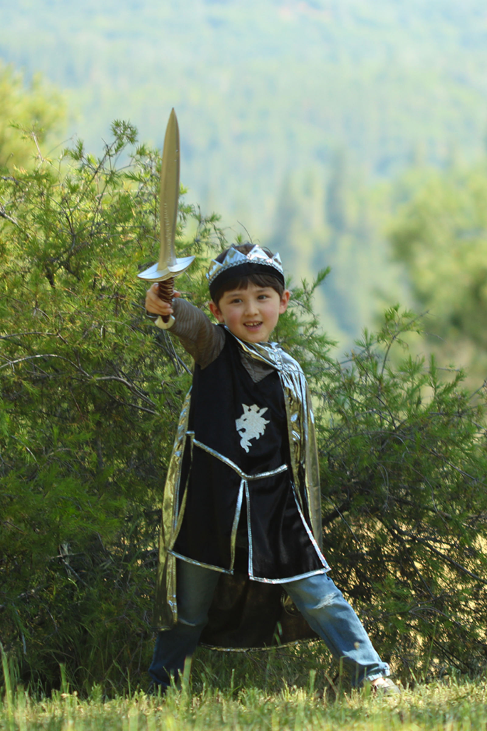 Knight Set Gold with Tunic, Cape and Crown