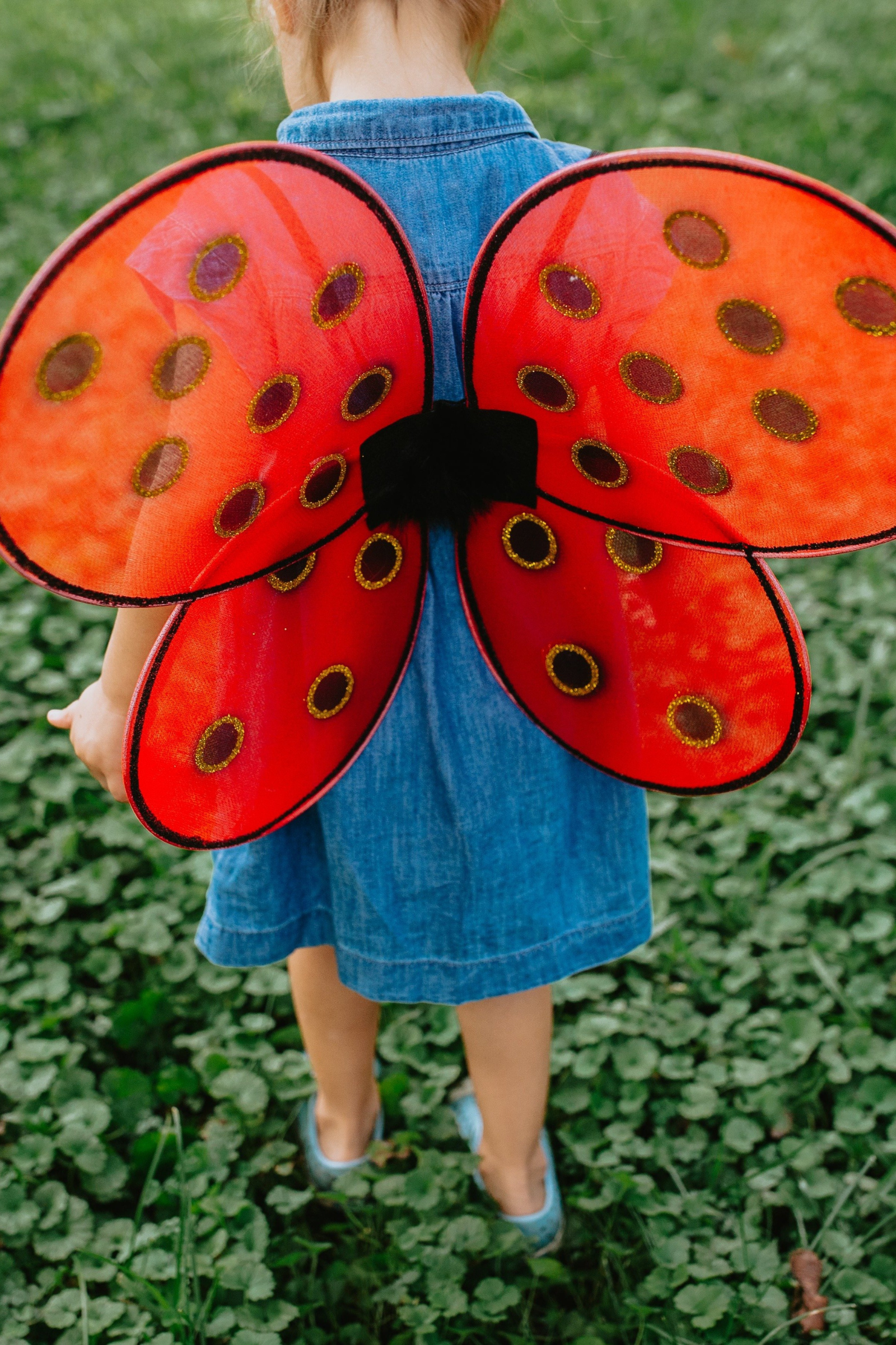 Lady Bug Wings & Headband