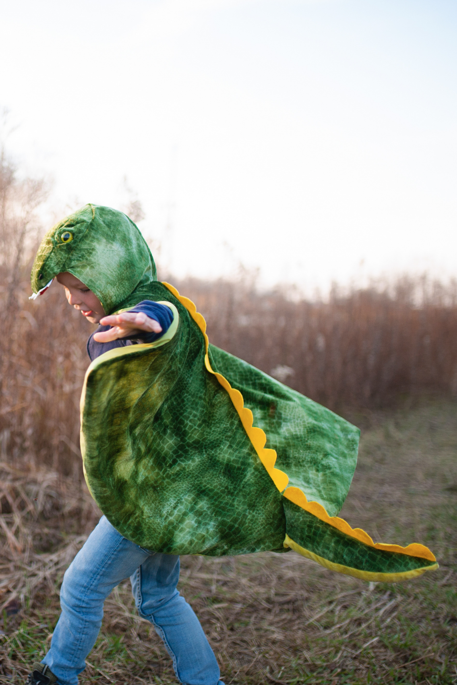 T-Rex Hooded Cape