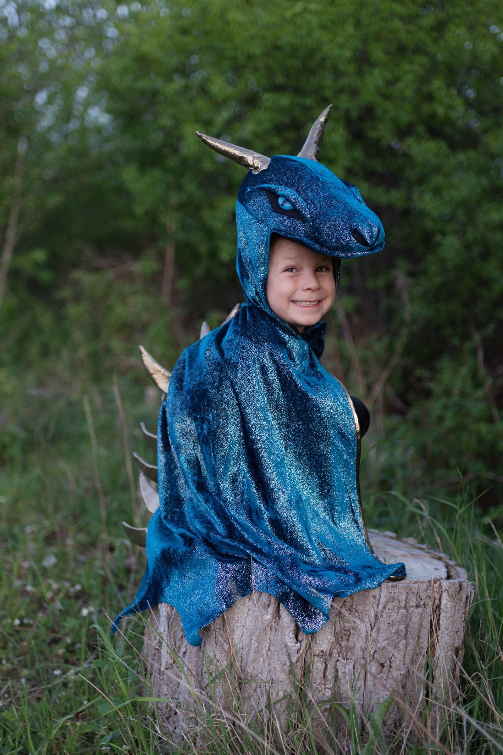 Starry Night Dragon Cape