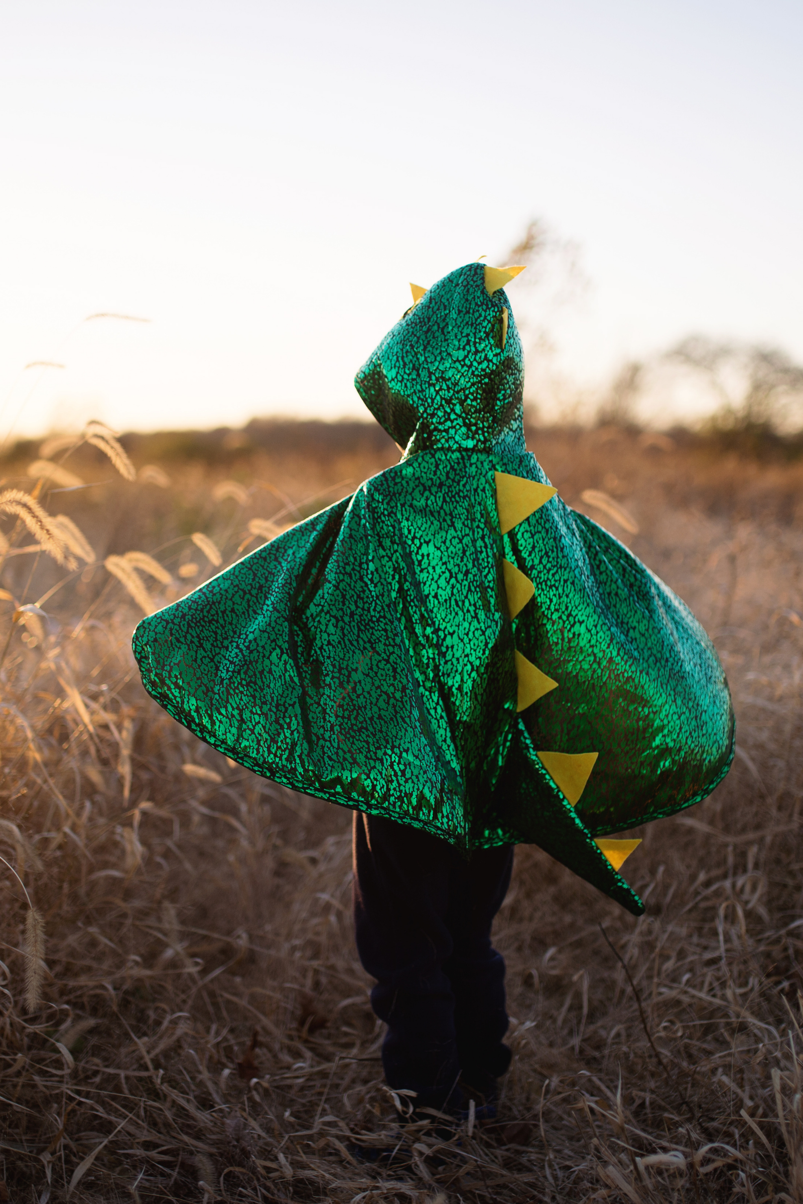 Toddler Dragon Cape