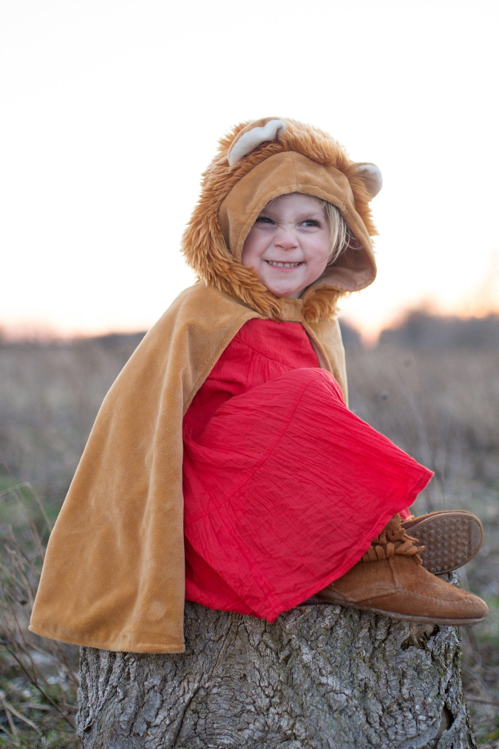 Toddler Lion Cape