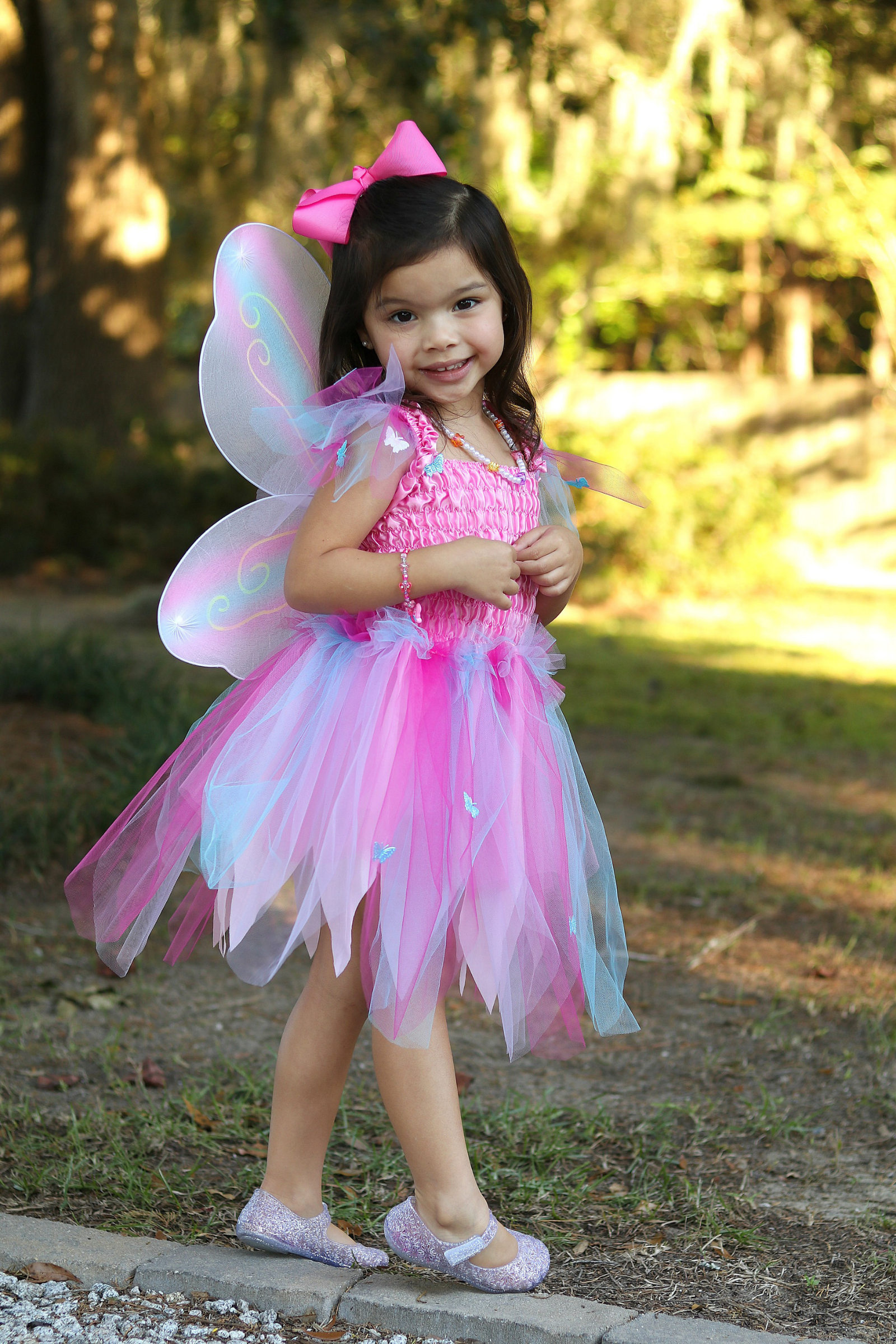 Butterfly Dress with Wings & Wand