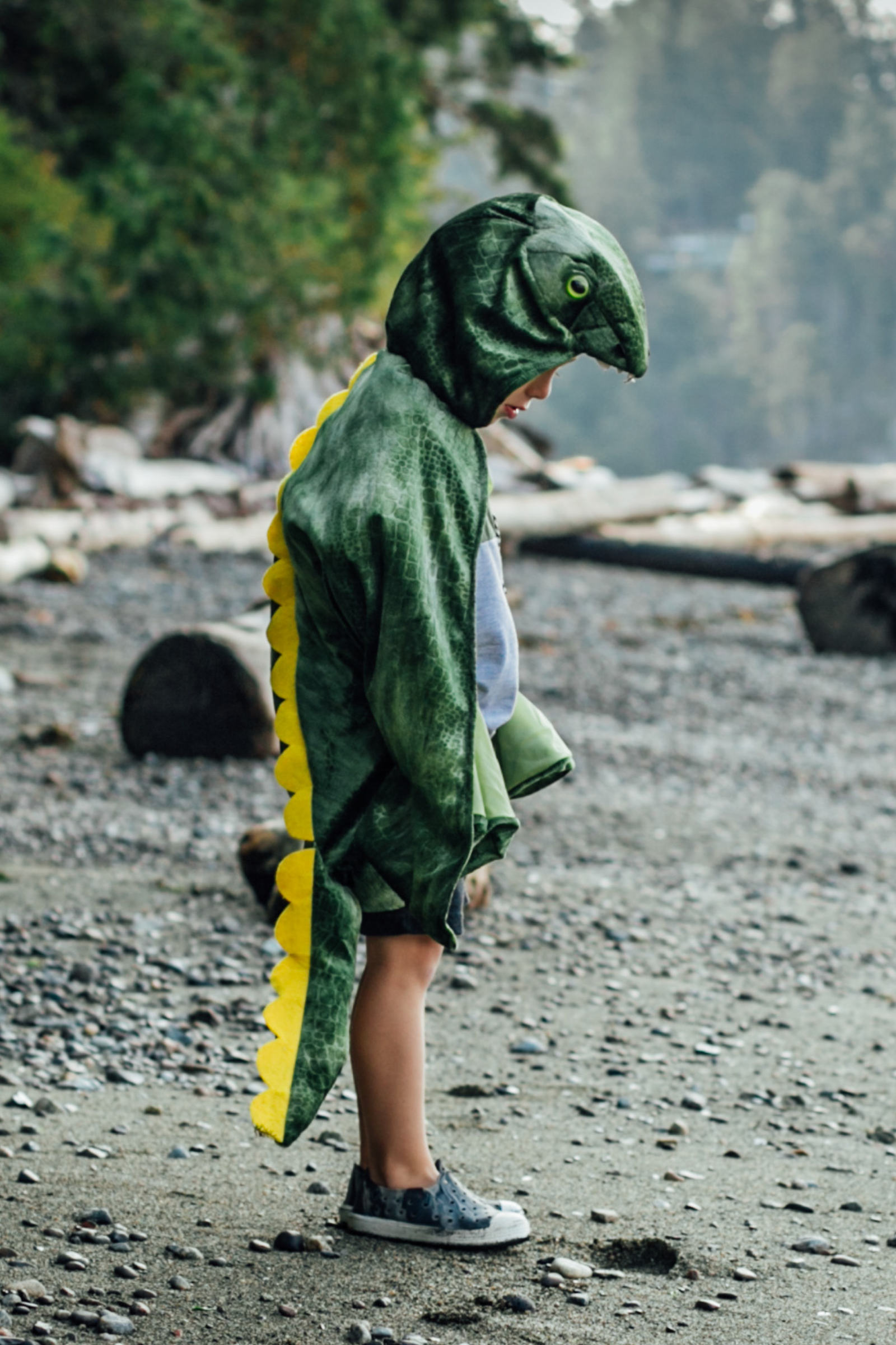 T-Rex Hooded Cape