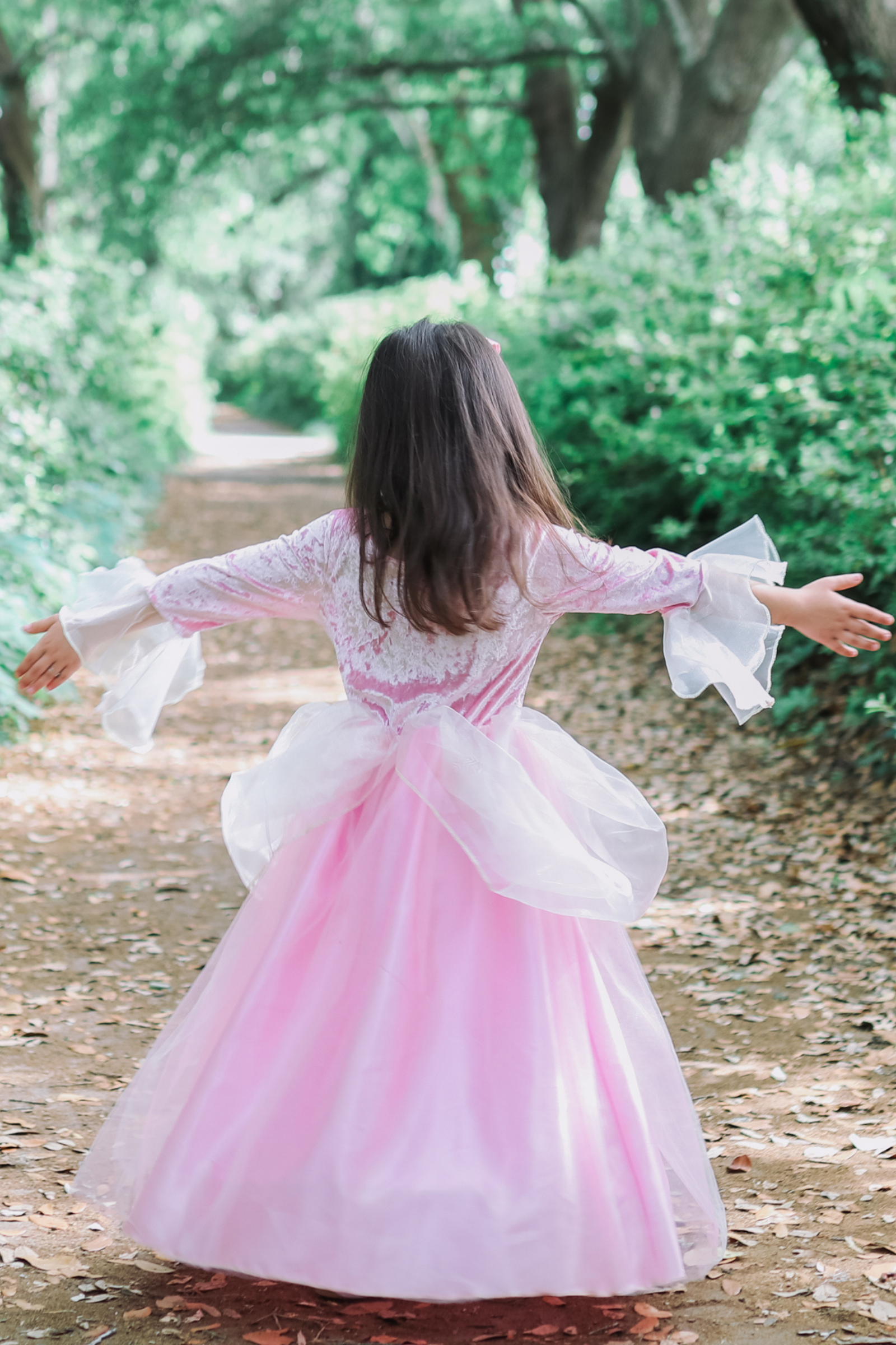 Pink Rose Princess Dress