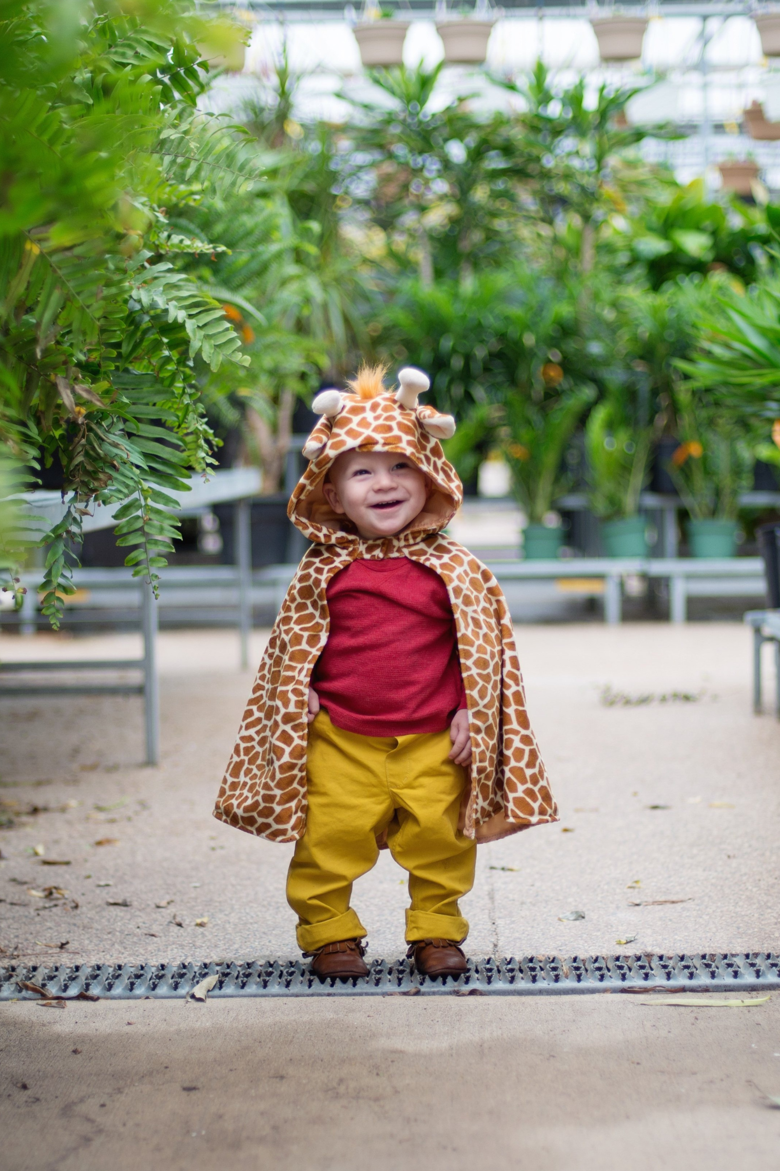 Toddler Giraffe Cape