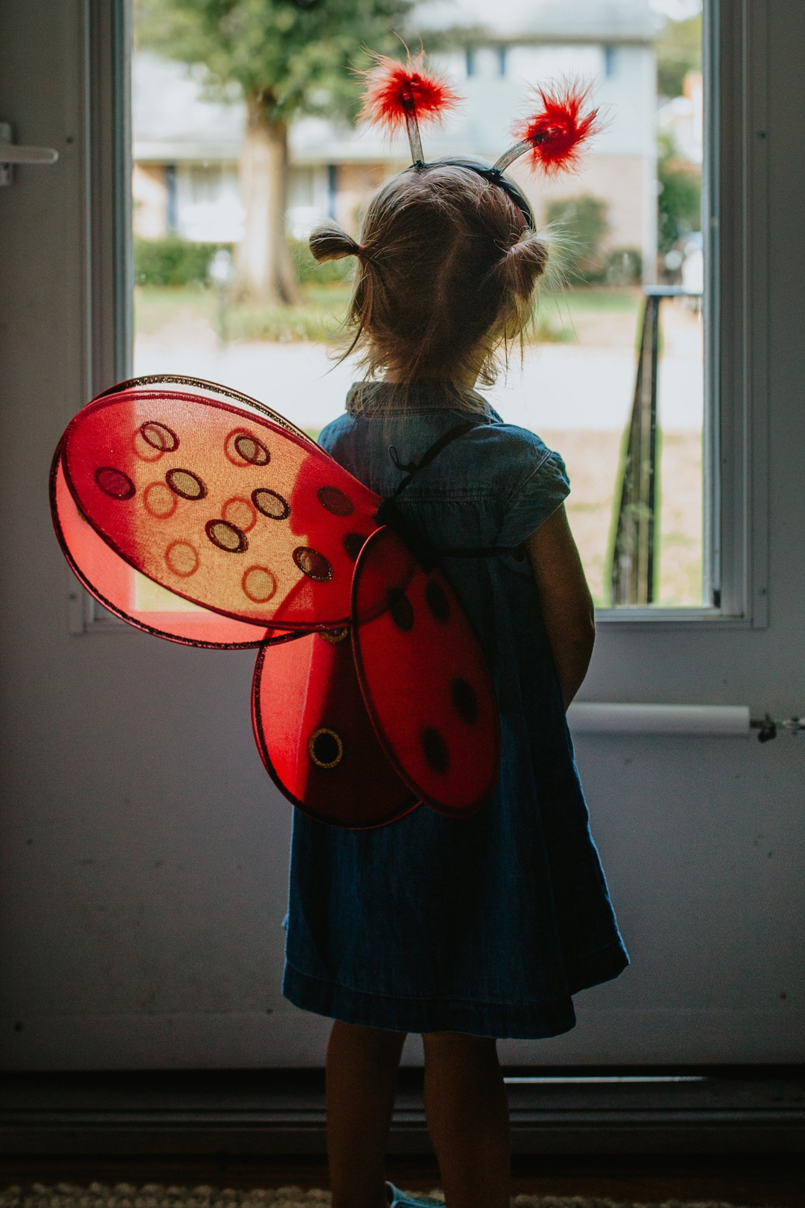 Lady Bug Wings & Headband