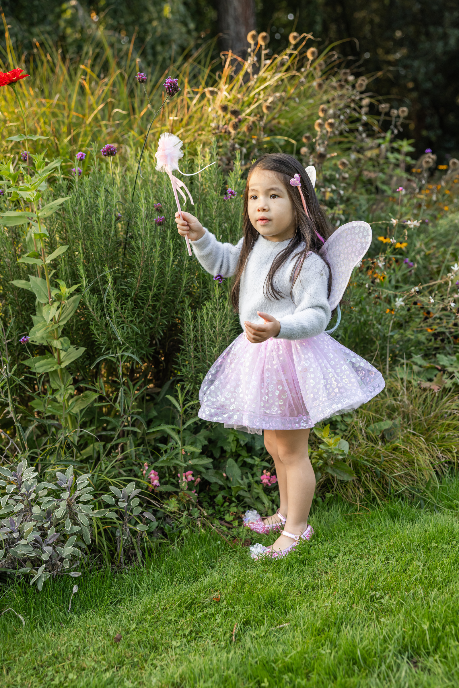 Crazy for Daises Tutu with Wings & Wand