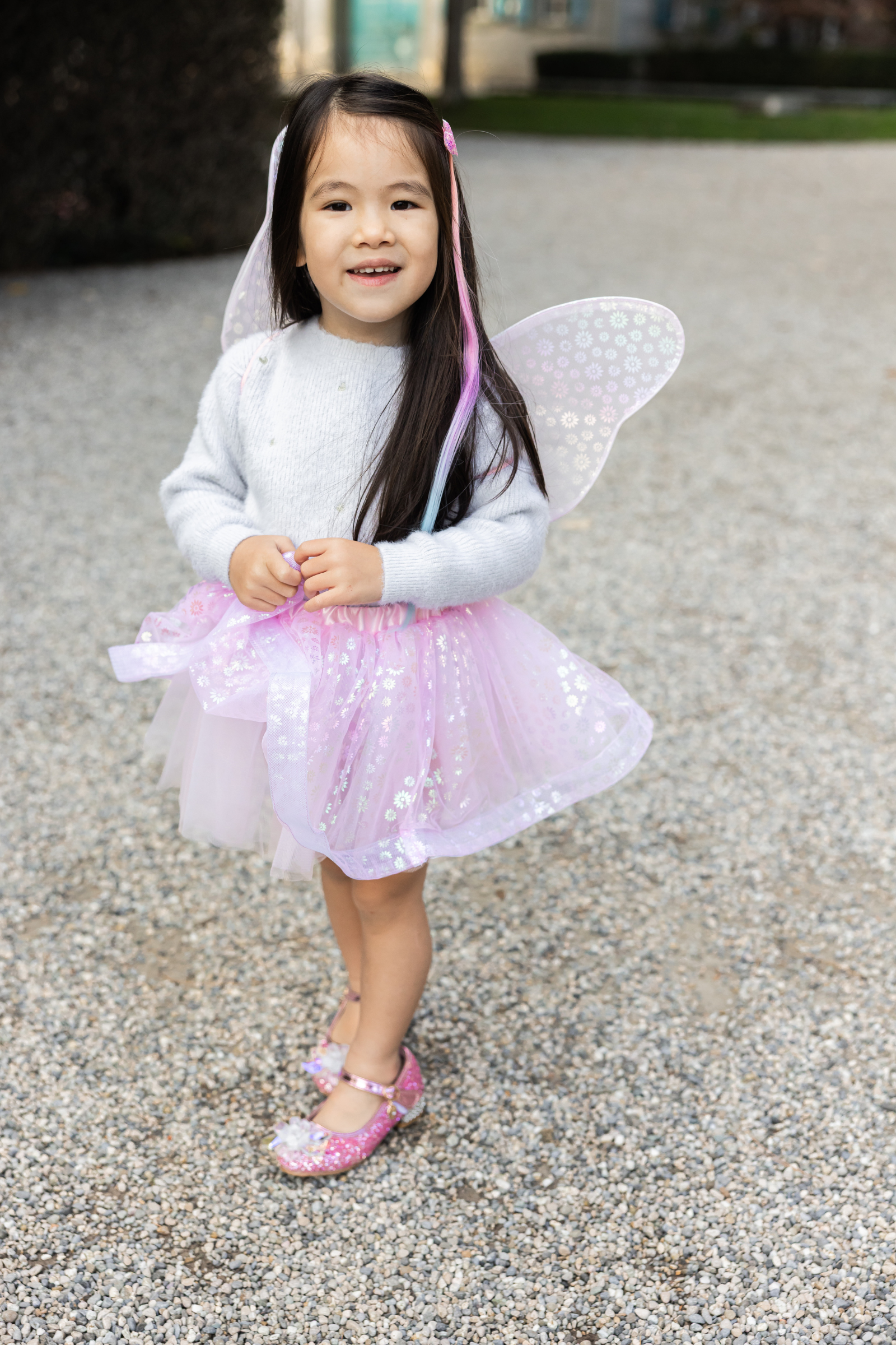 Crazy for Daises Tutu with Wings & Wand