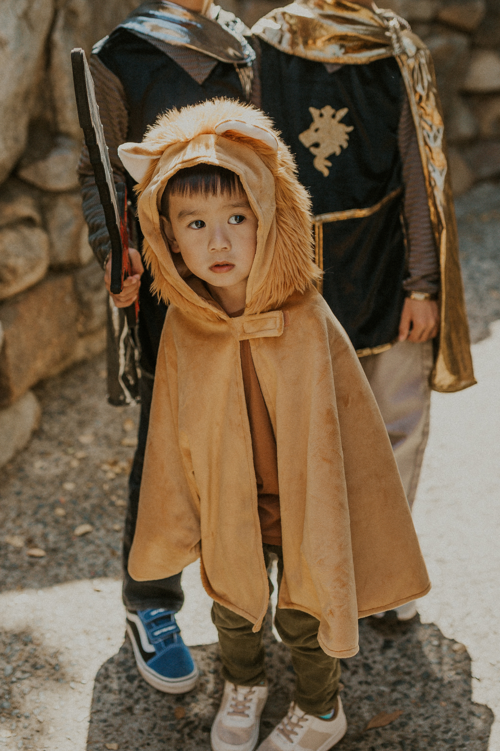 Toddler Lion Cape