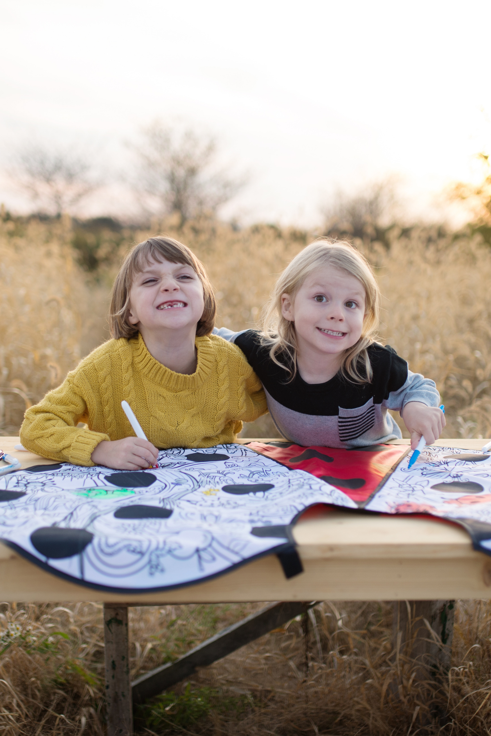 Colour-A-Ladybug Cape