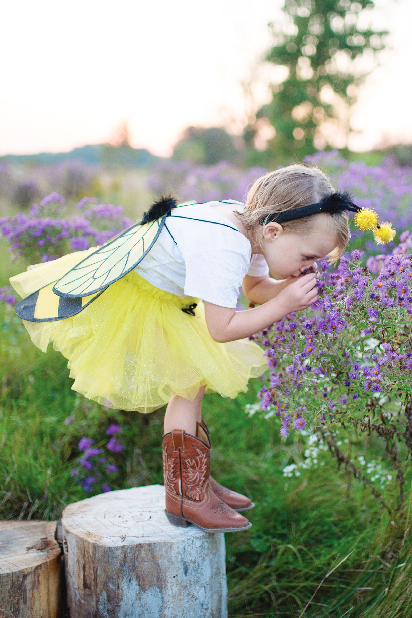 Glitter Bumble Bee Set