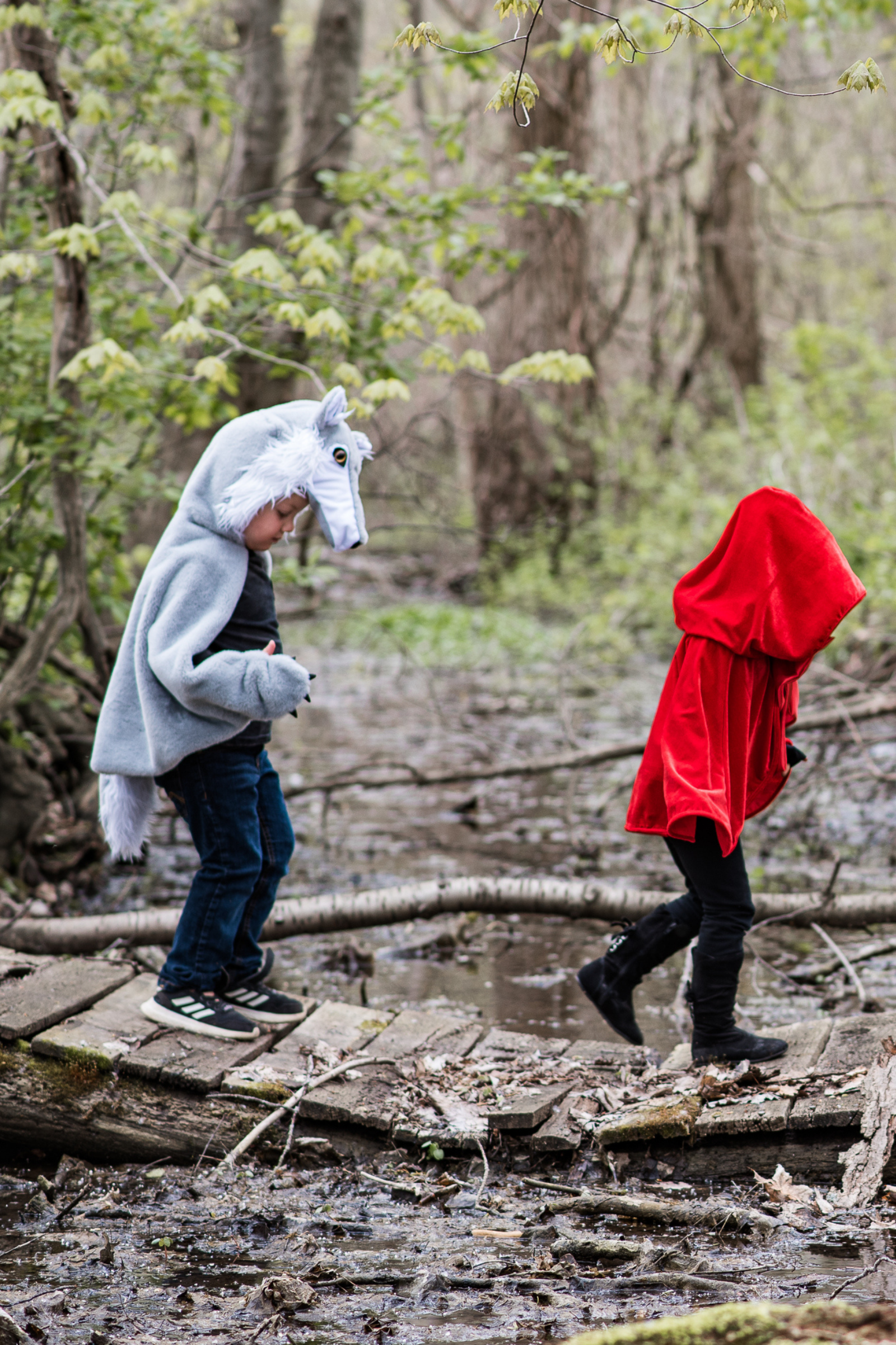 Woodland Storybook Wolf Cape