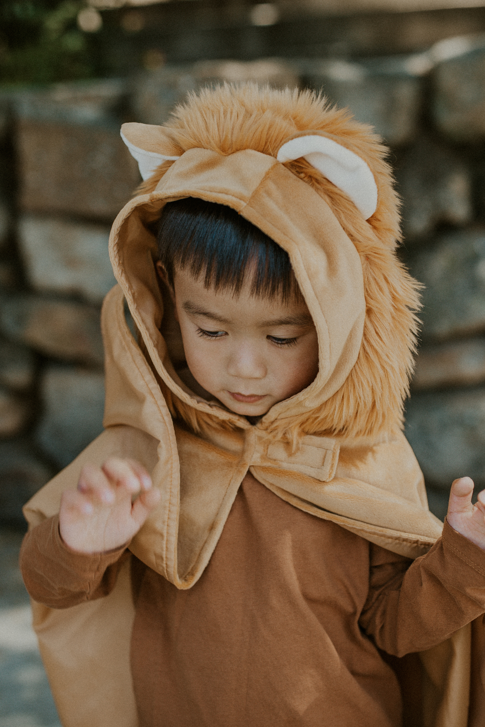 Toddler Lion Cape