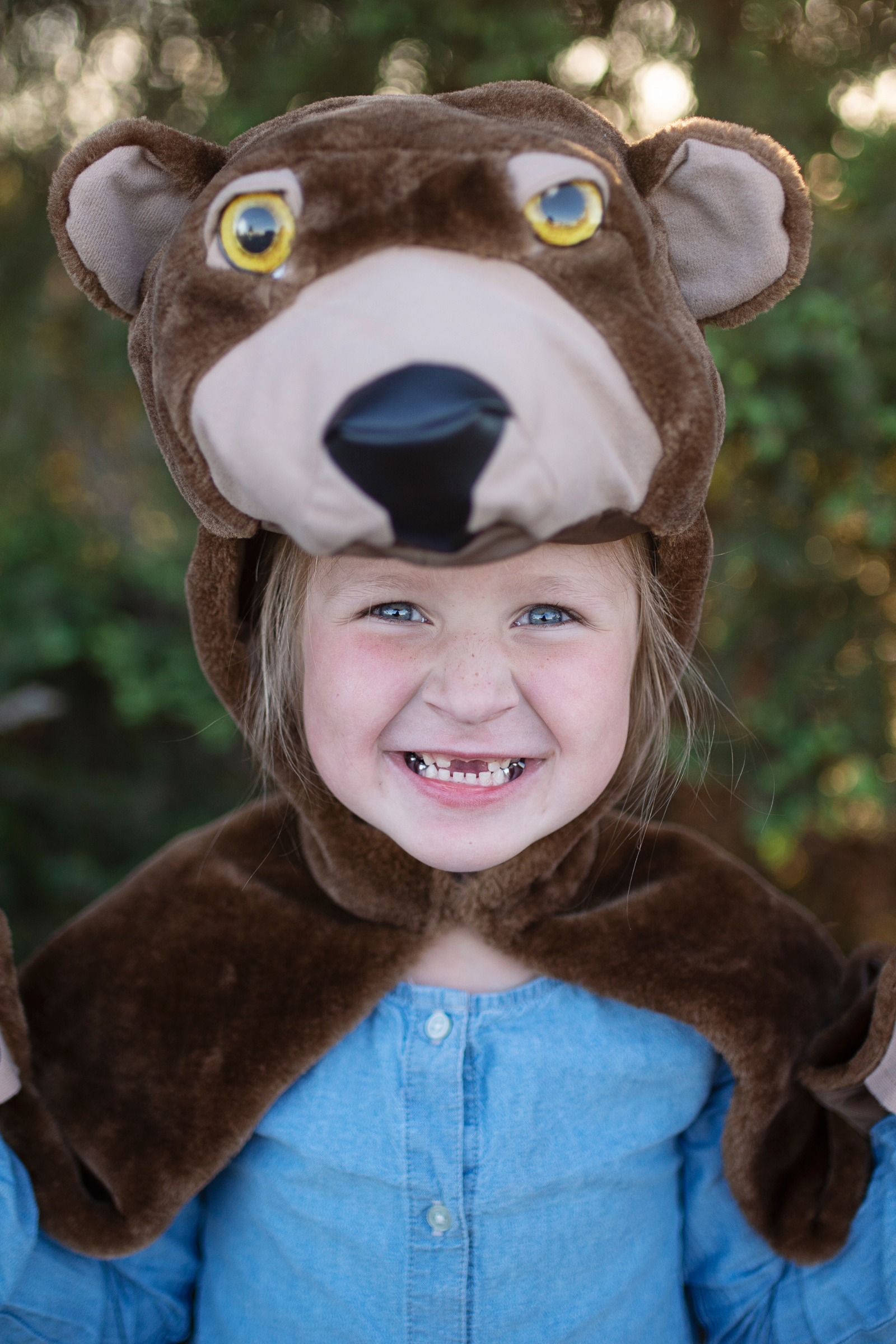 Storybook Bear Cape