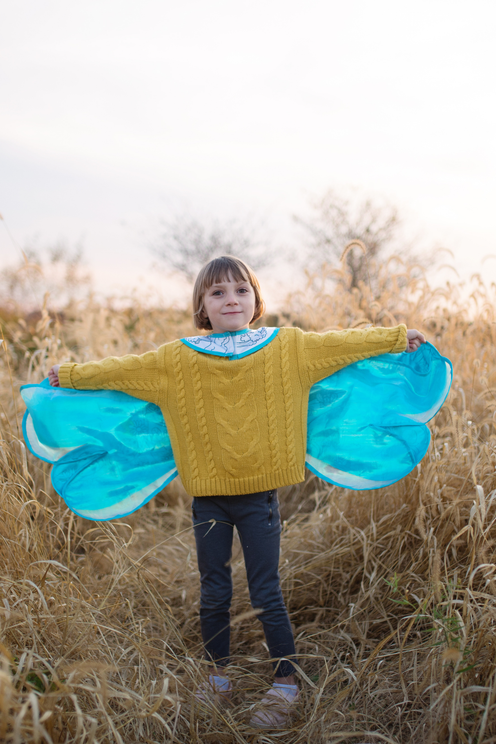 Colour-A-Dragon Fly Wings Cape