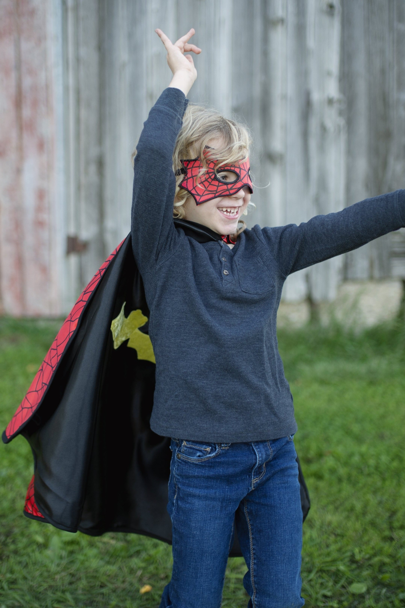 Reversible Spider Bat Cape and Mask