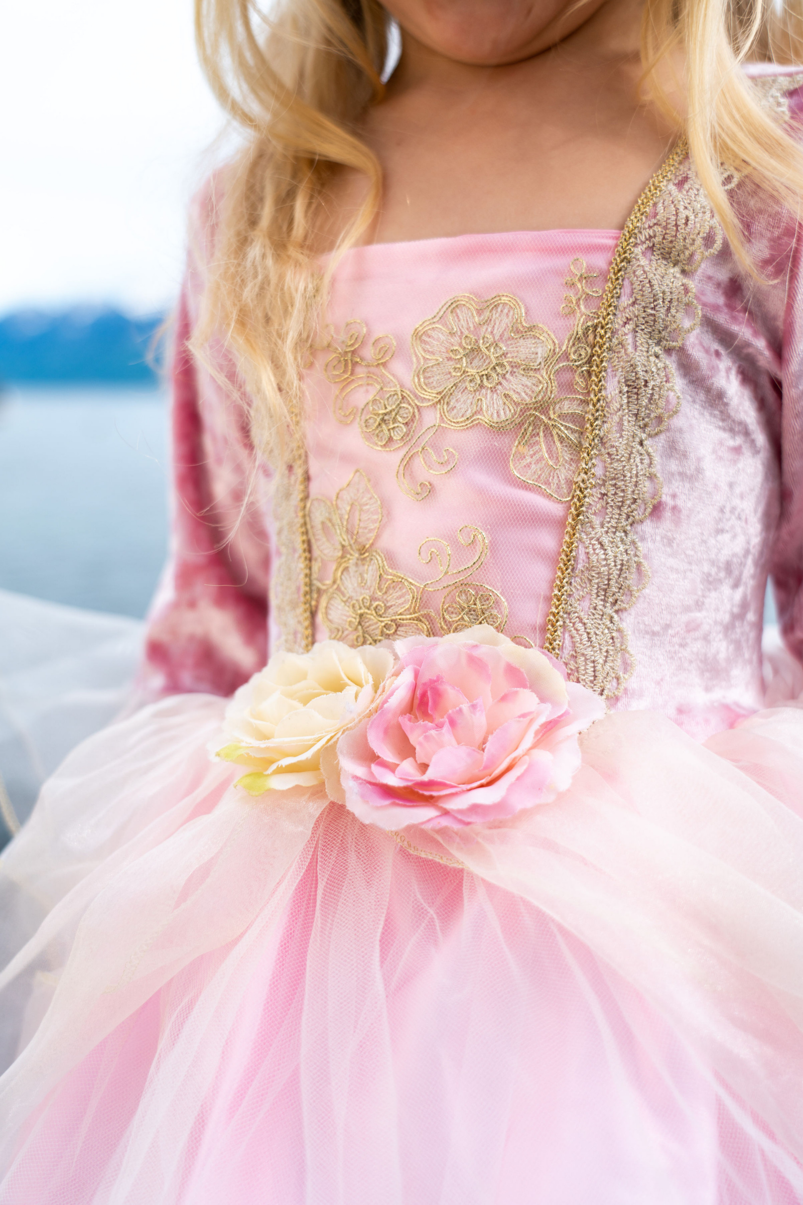 Pink Rose Princess Dress