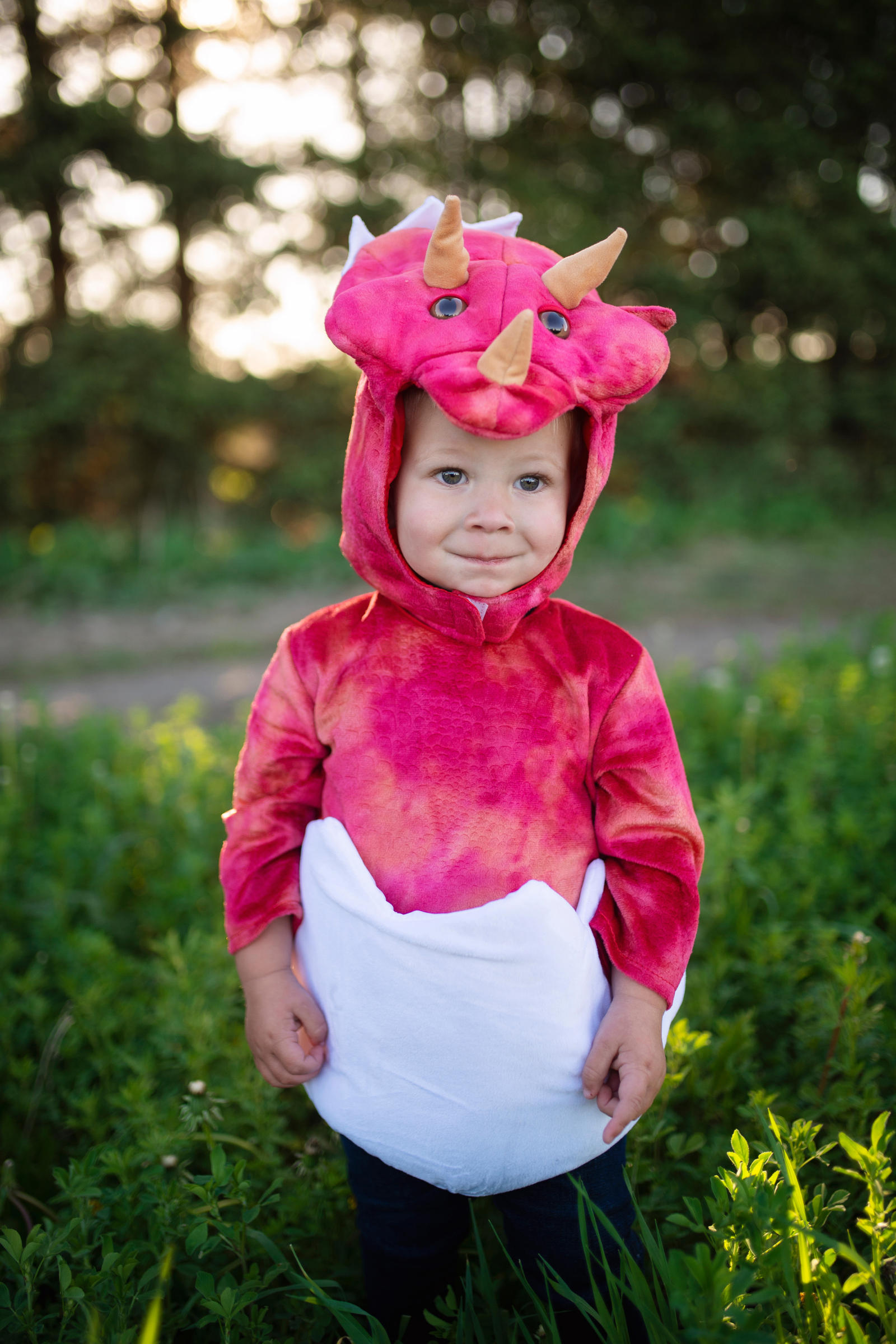 Baby Dino Triceratops Set