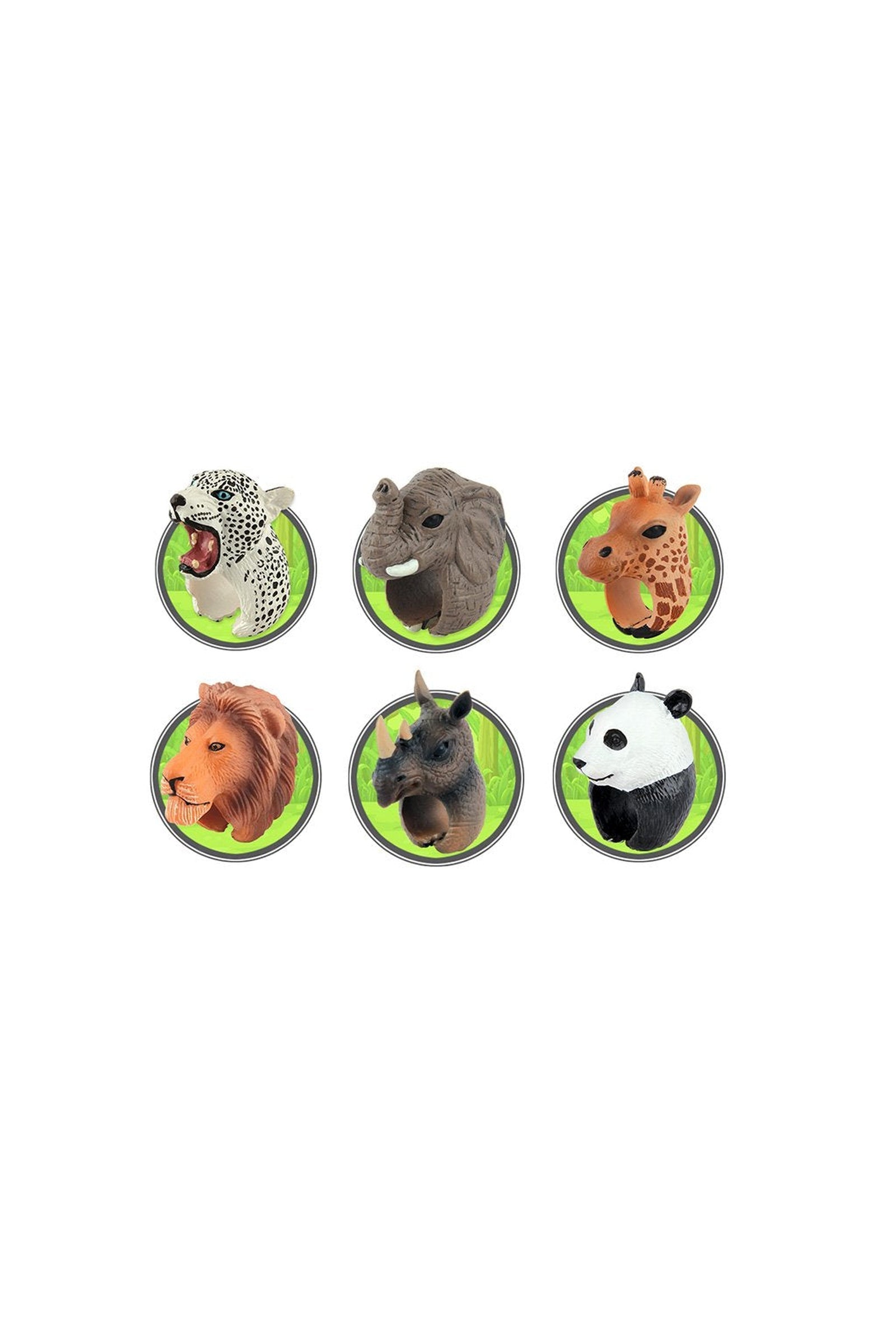 Animal Kingdom: Jungle Rings - 24pc Display