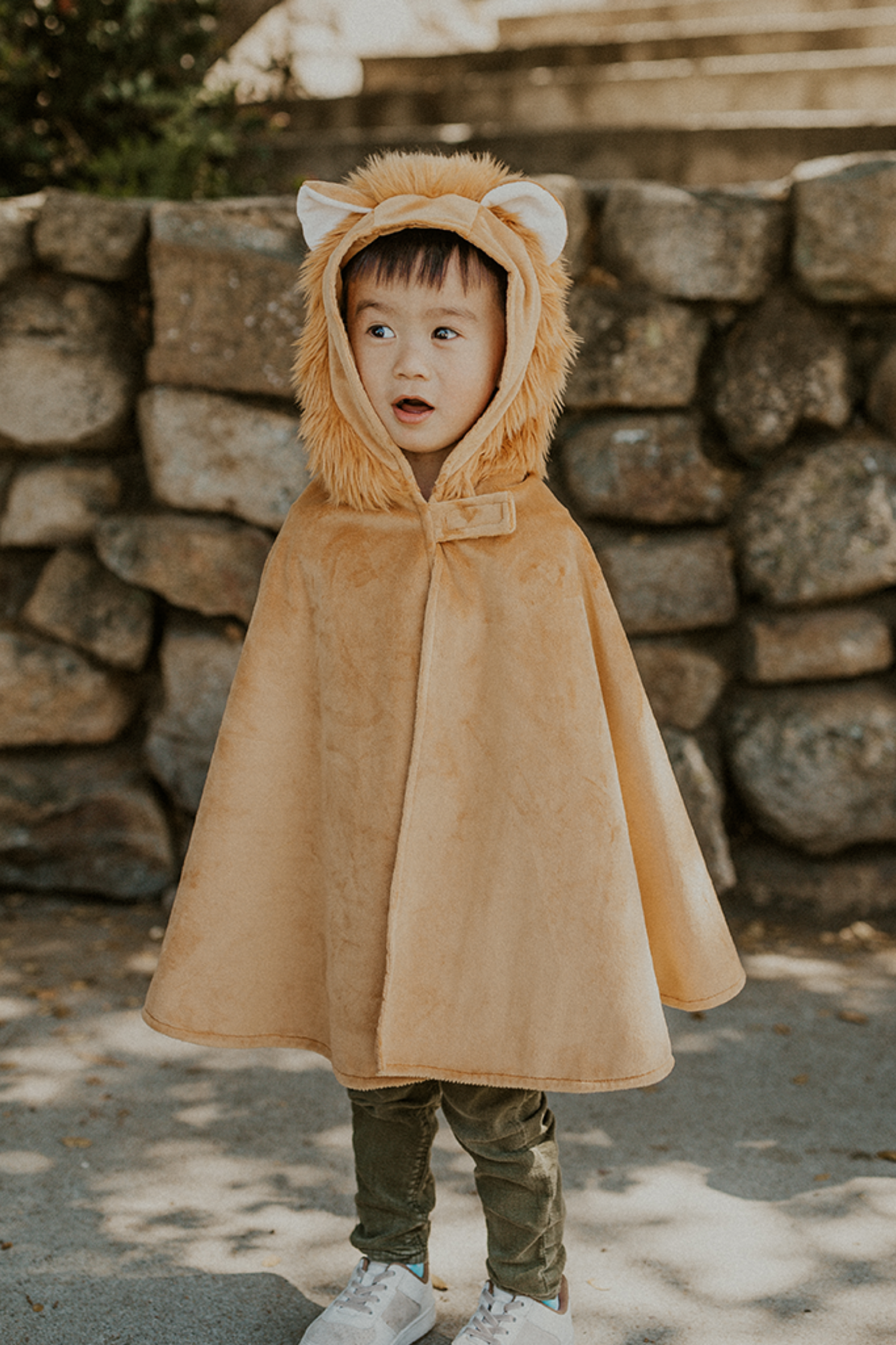 Toddler Lion Cape