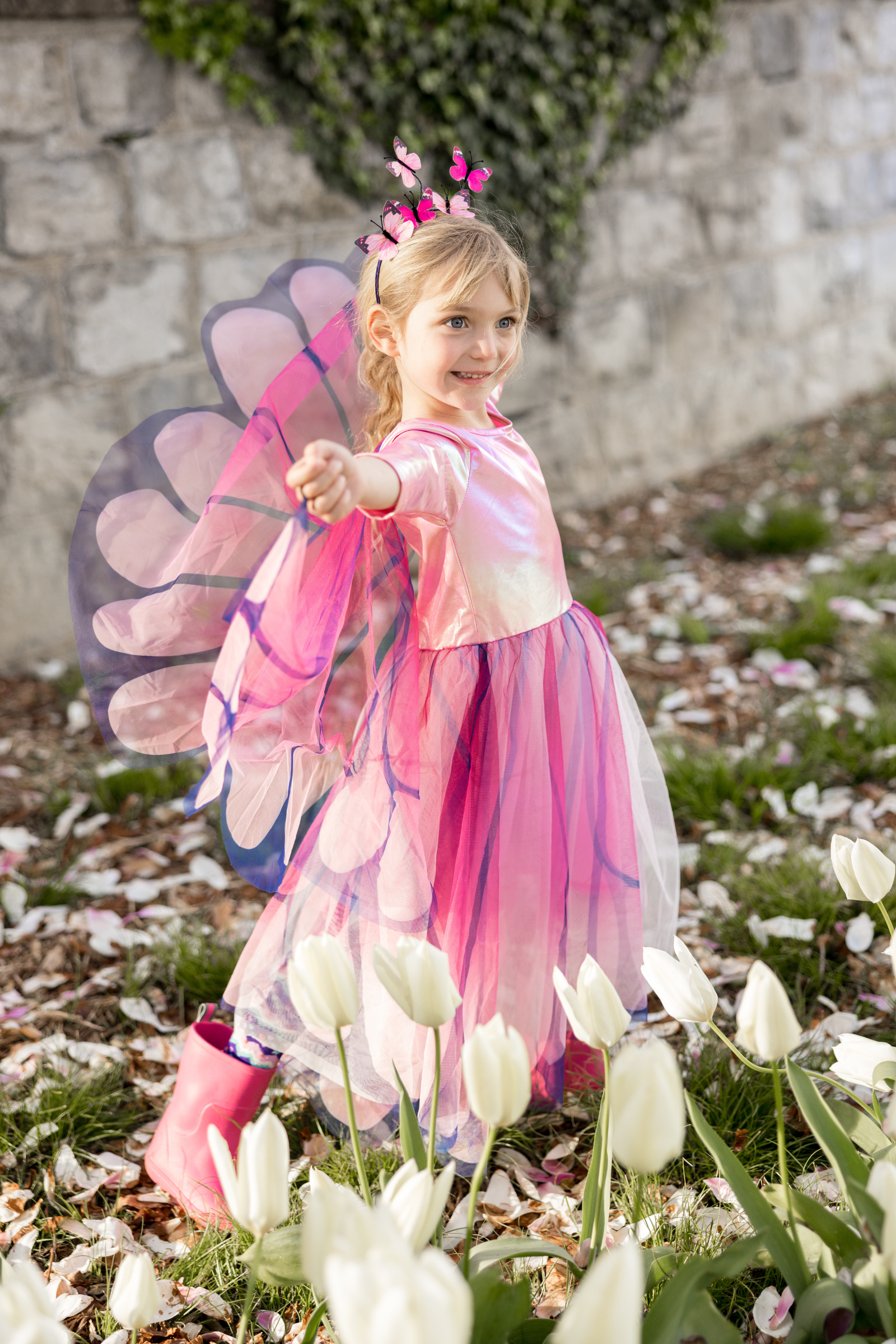 Butterfly Twirl Dress and Wings