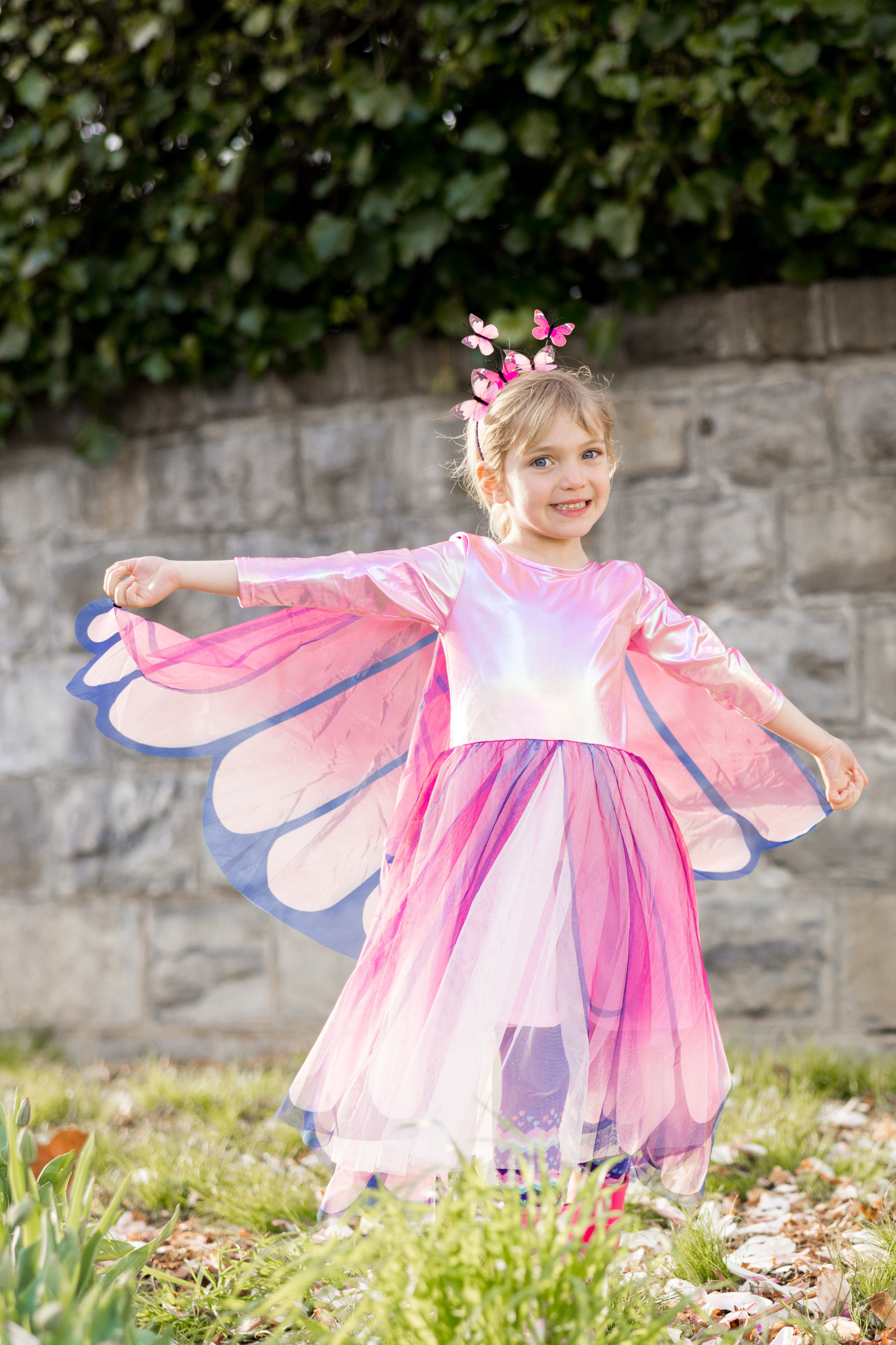 Butterfly Twirl Dress and Wings