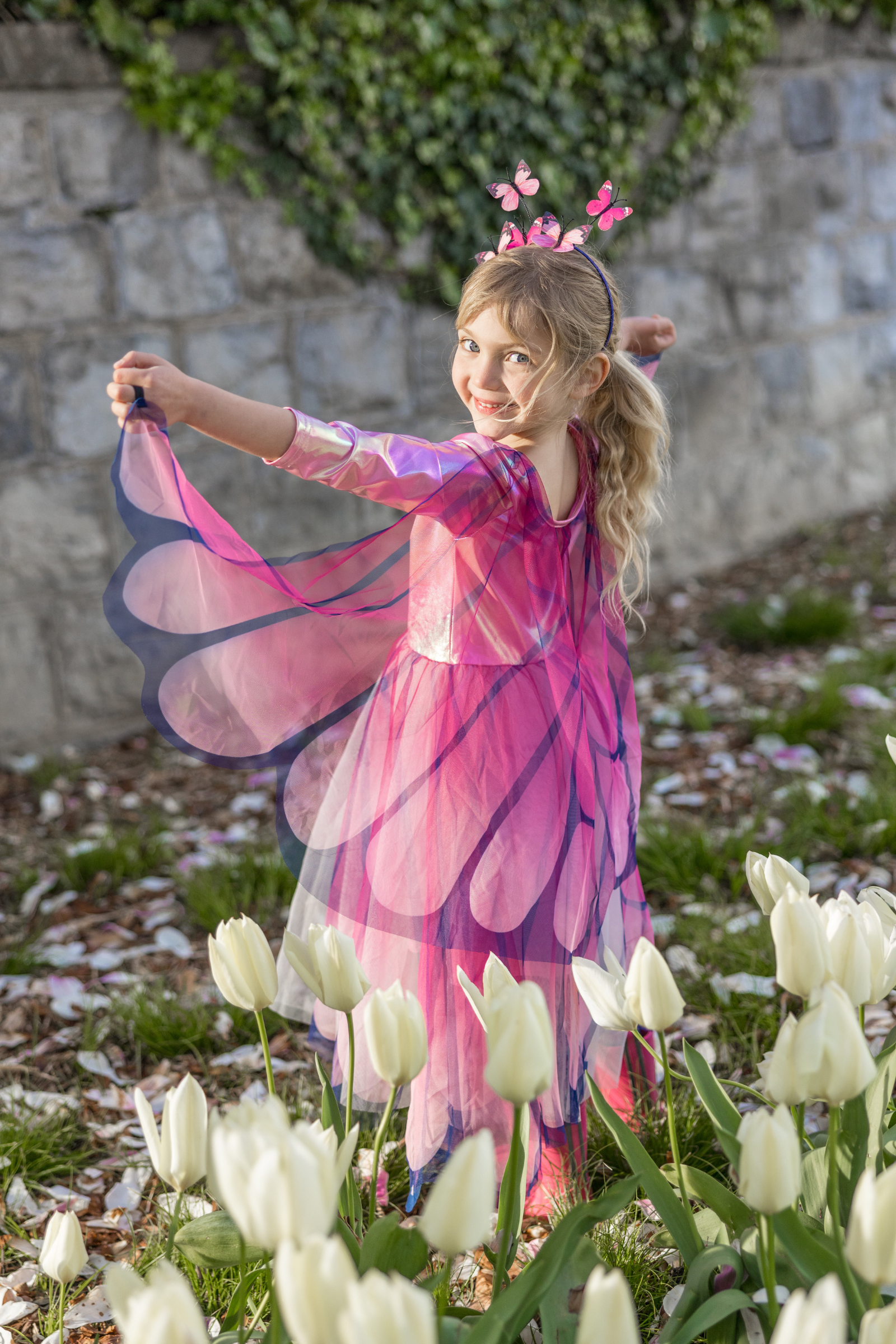 Butterfly Twirl Dress and Wings