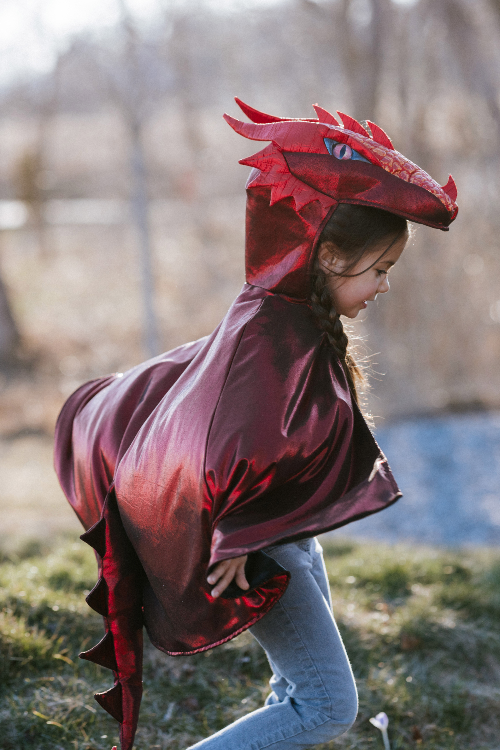 Ruby Metallic Dragon