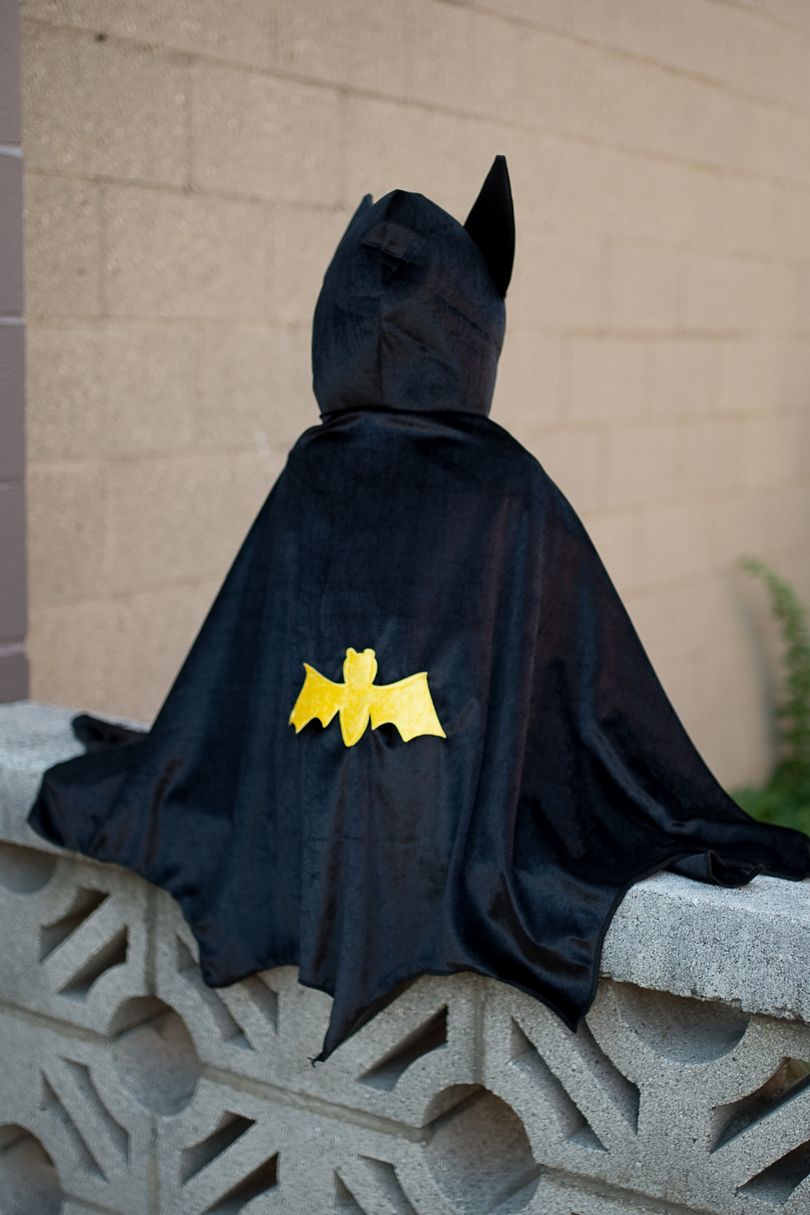 Hooded Bat Cape