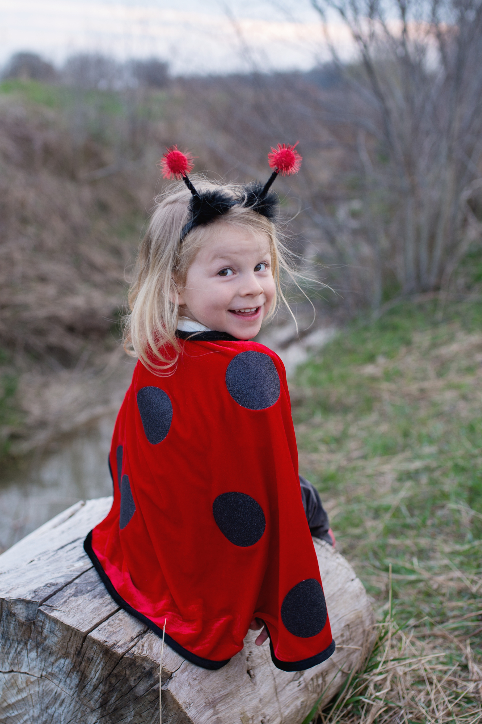 Little Ladybug Toddler Cape