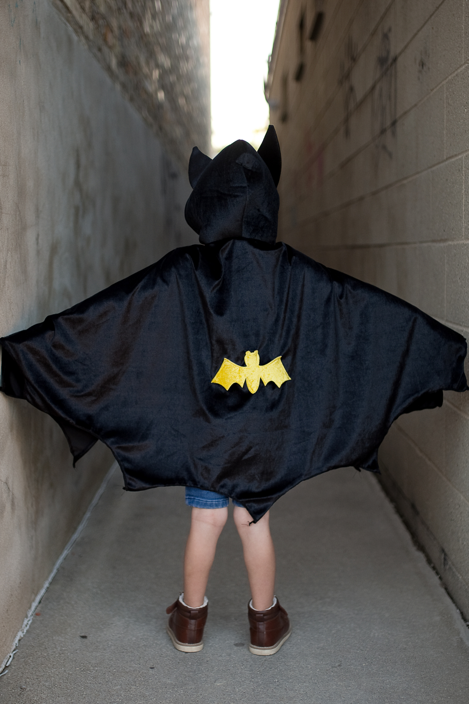 Hooded Bat Cape