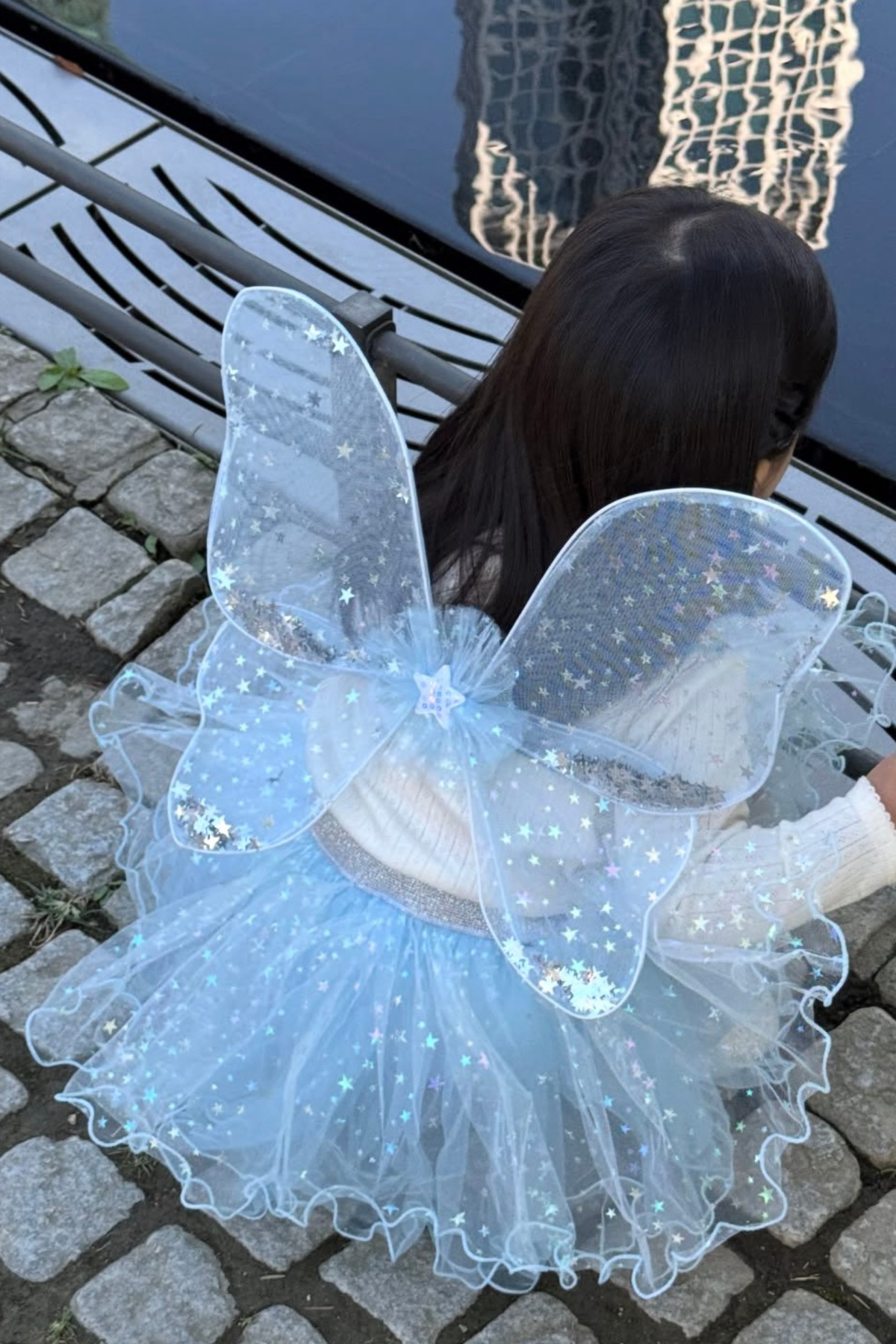 Ailes de fée célestes irisées avec tutu et baguette magique