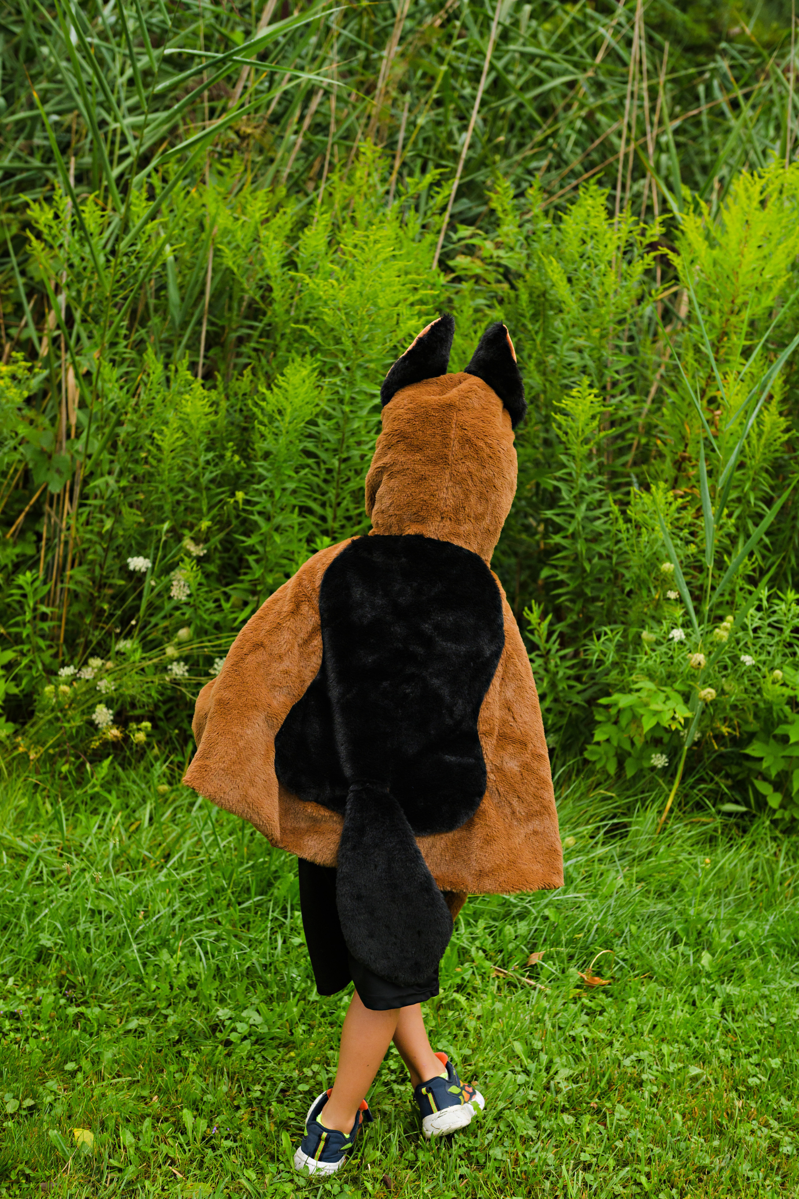 German Shepherd Dog Cuddle Cape